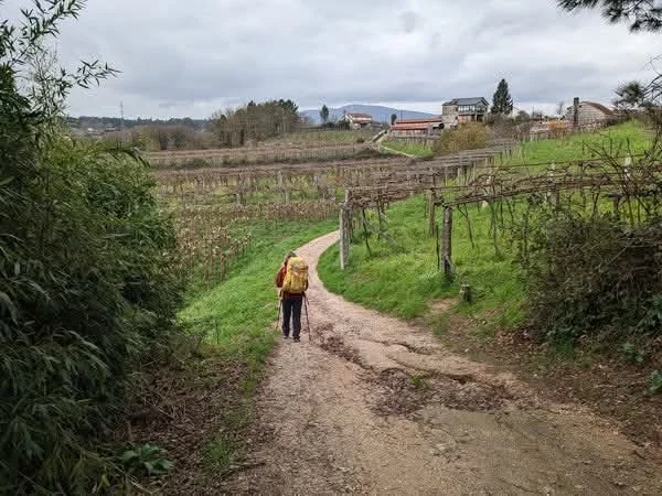Compostelle 2026 | Chemin Portuguais