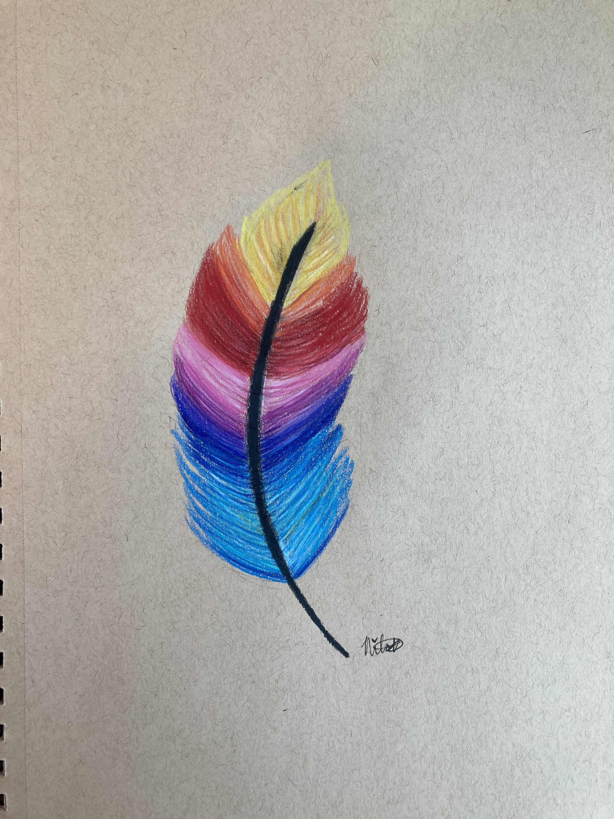 Colorful Feather