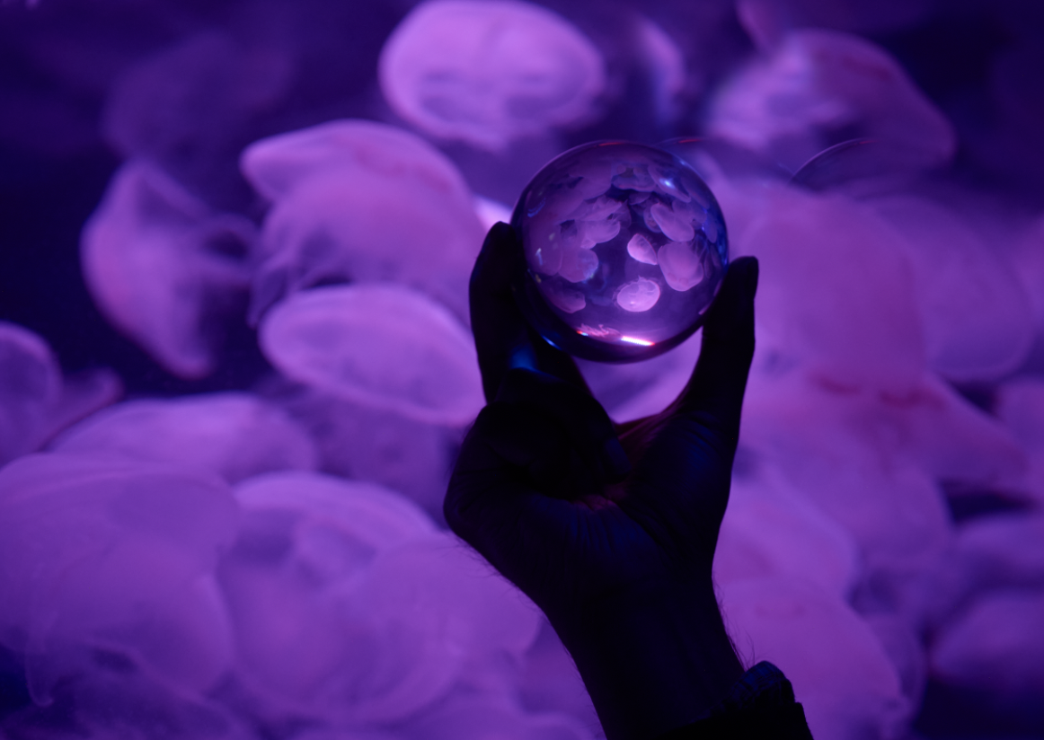 Screen Shot 2023-02-17 at 11.26.22 AM.png