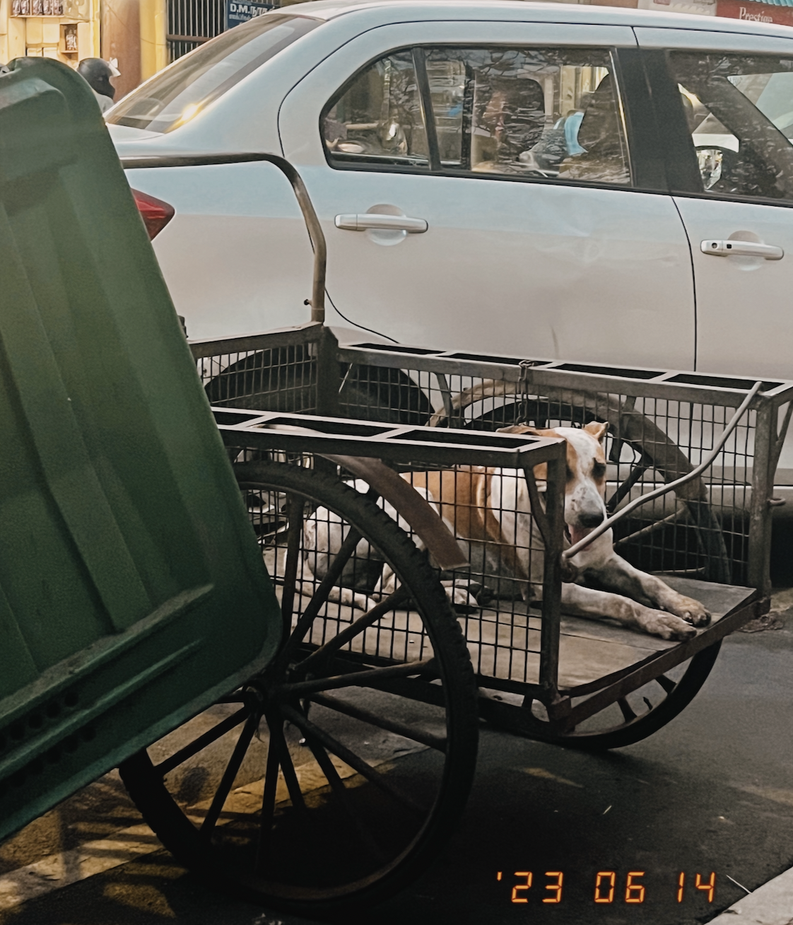 India Street Photography: 8