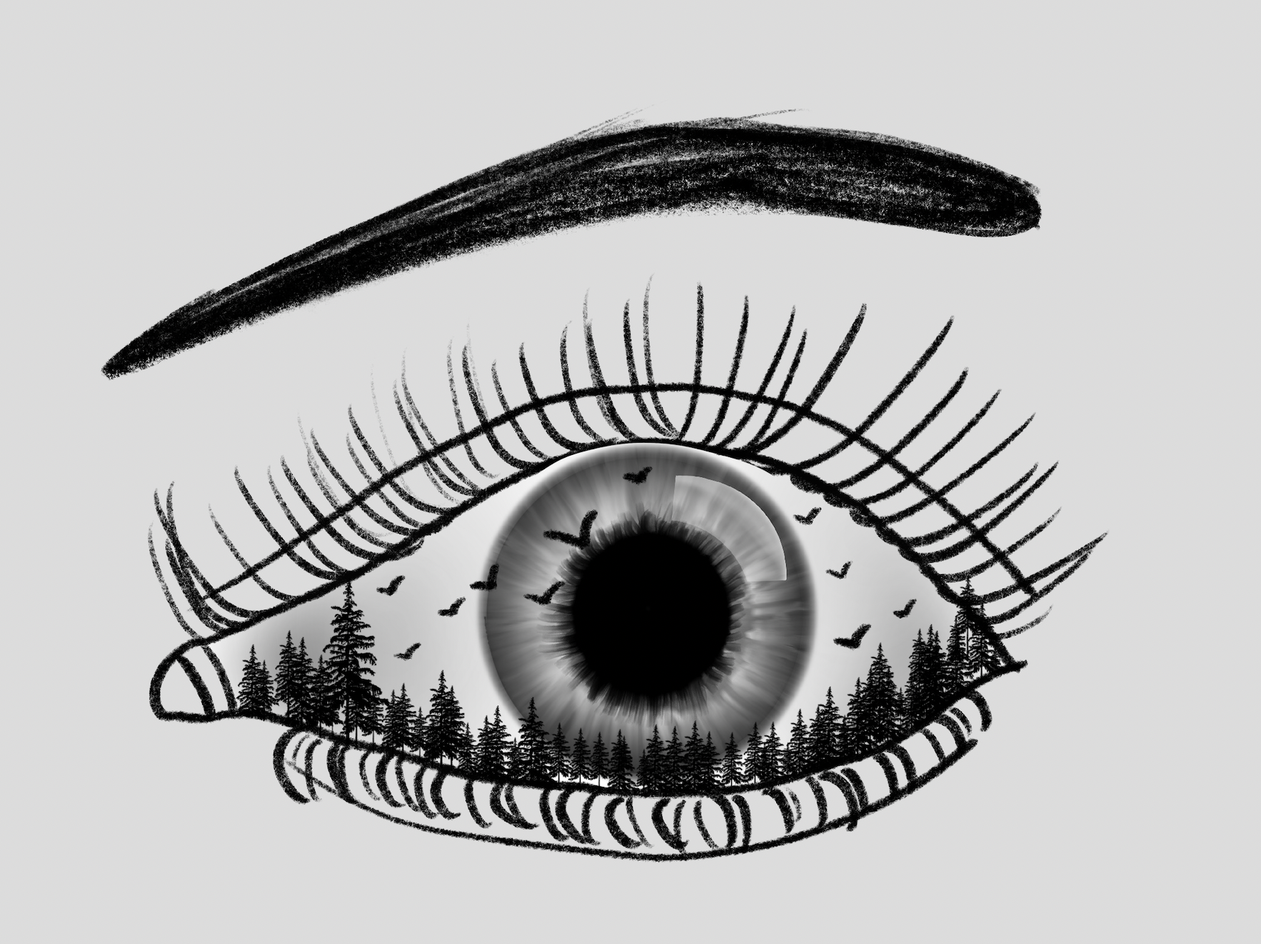 Eye Sketch