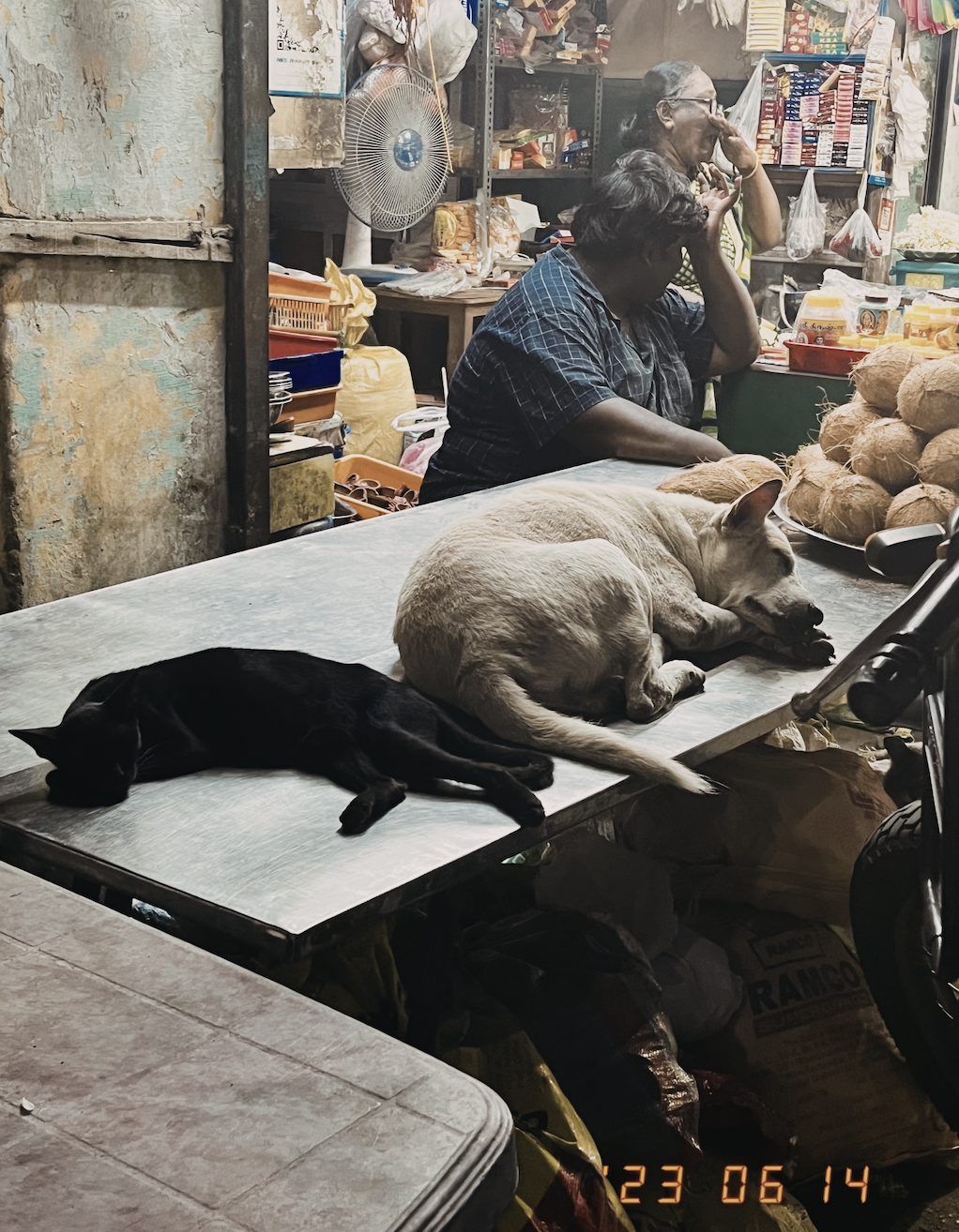 India Street Photography: 20