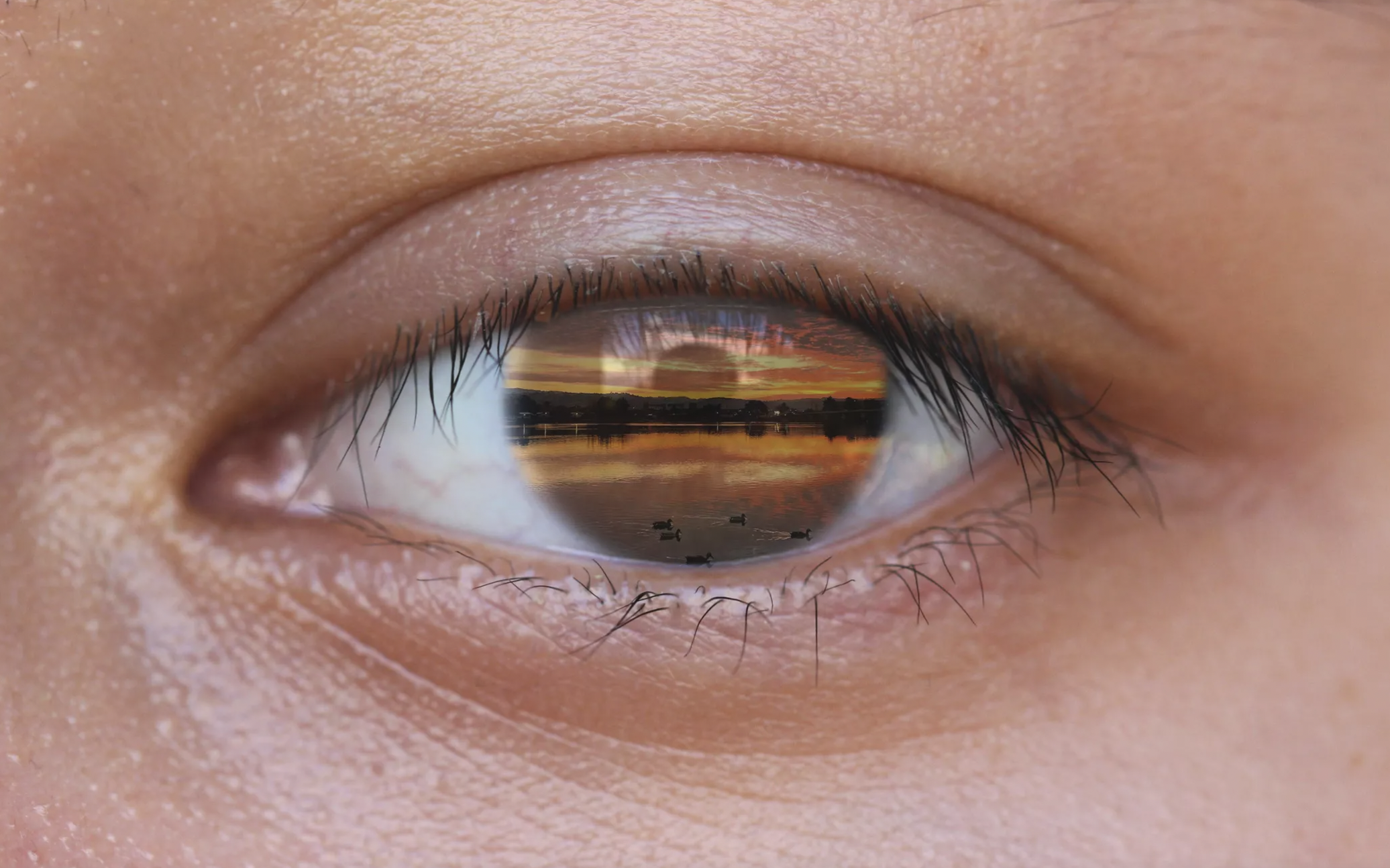 Reflection in Eye
