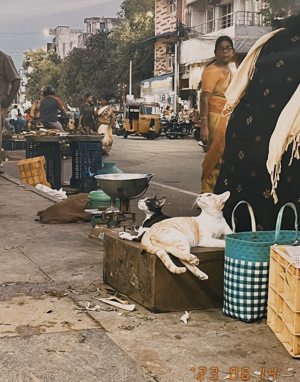 India Street Photography: 9