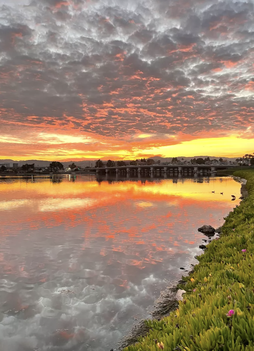 Screen Shot 2023-04-02 at 4.46.55 PM.png