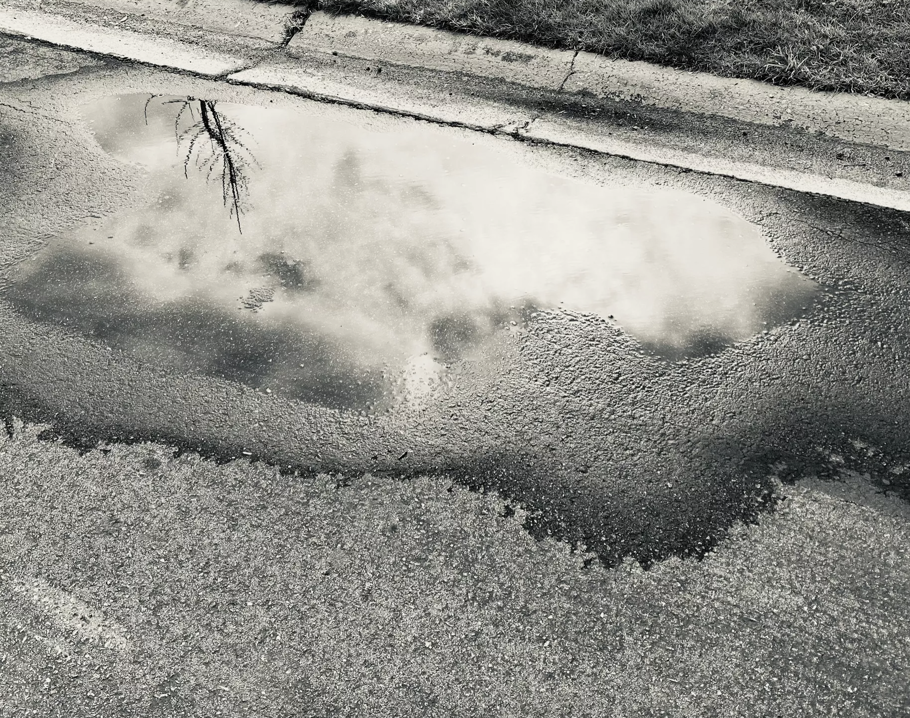 Screen Shot 2023-04-02 at 4.46.26 PM.png