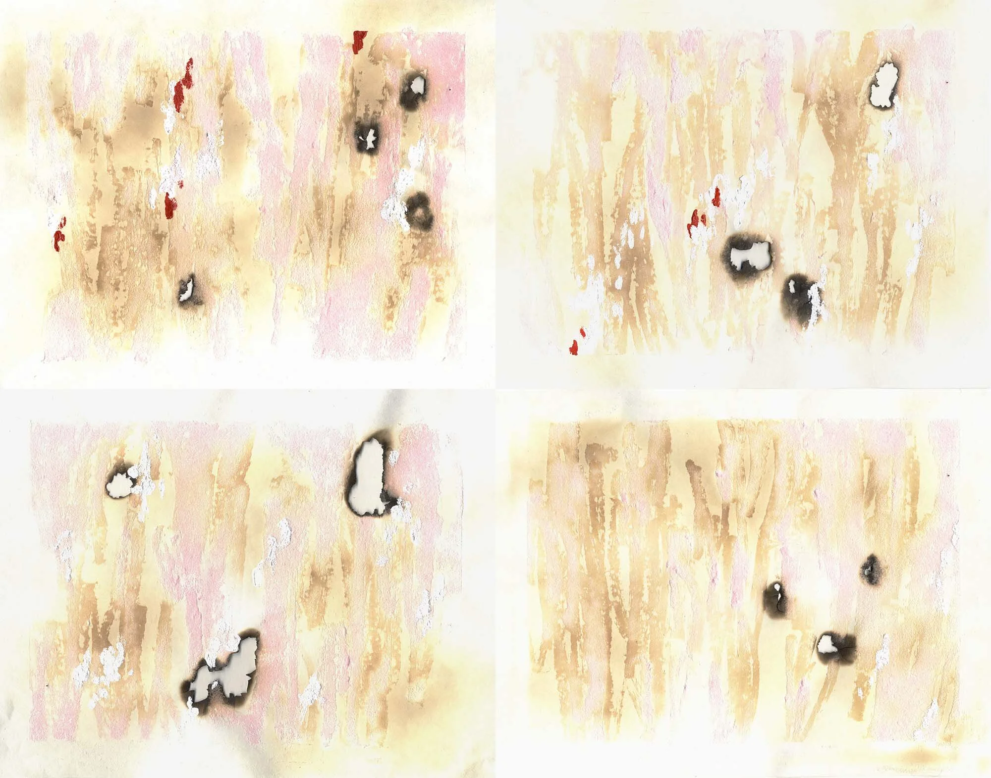 Versions
