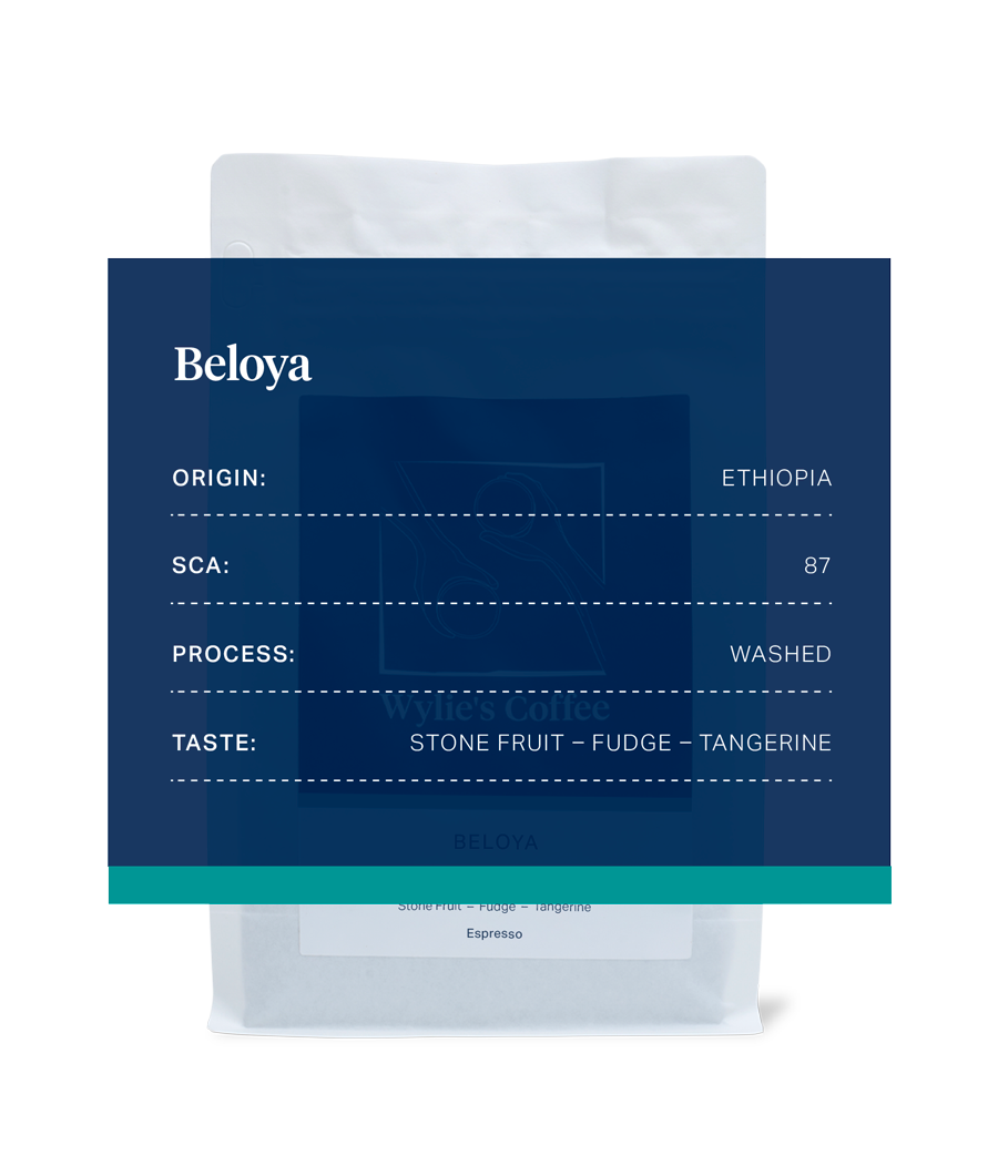 Wylie's-Coffee_Beloya_Ethiopia_2.png