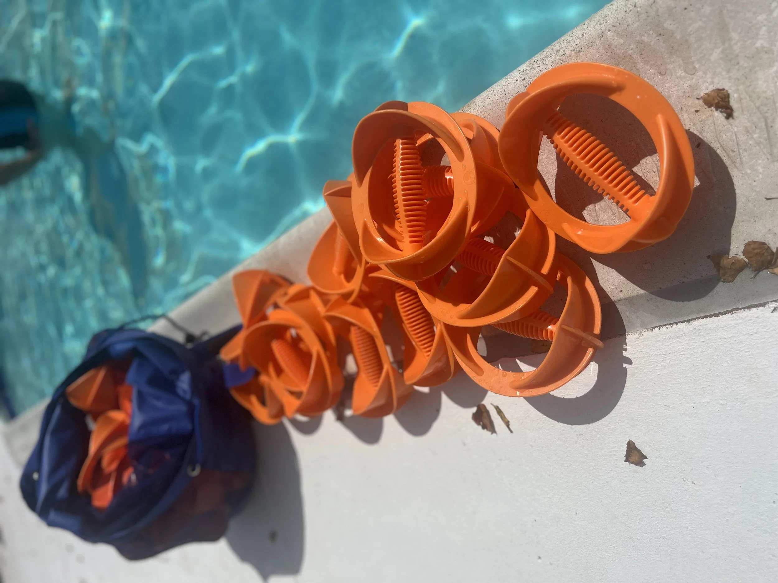 boq pic 8.30.23 from candace.jpg