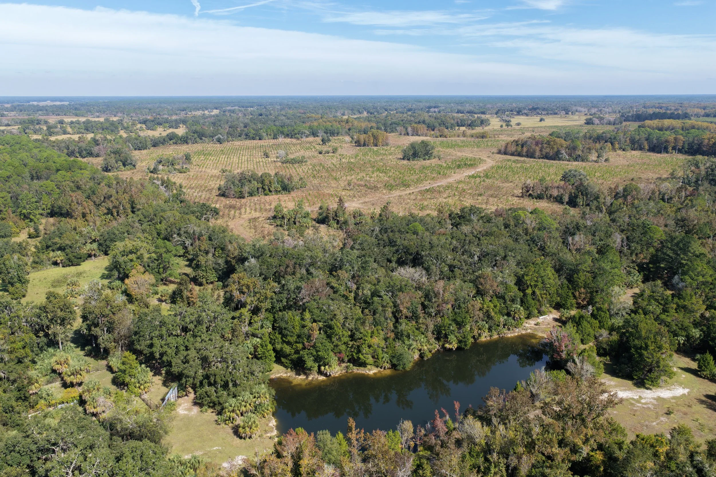DJI_20251106115057_0343_D.JPG