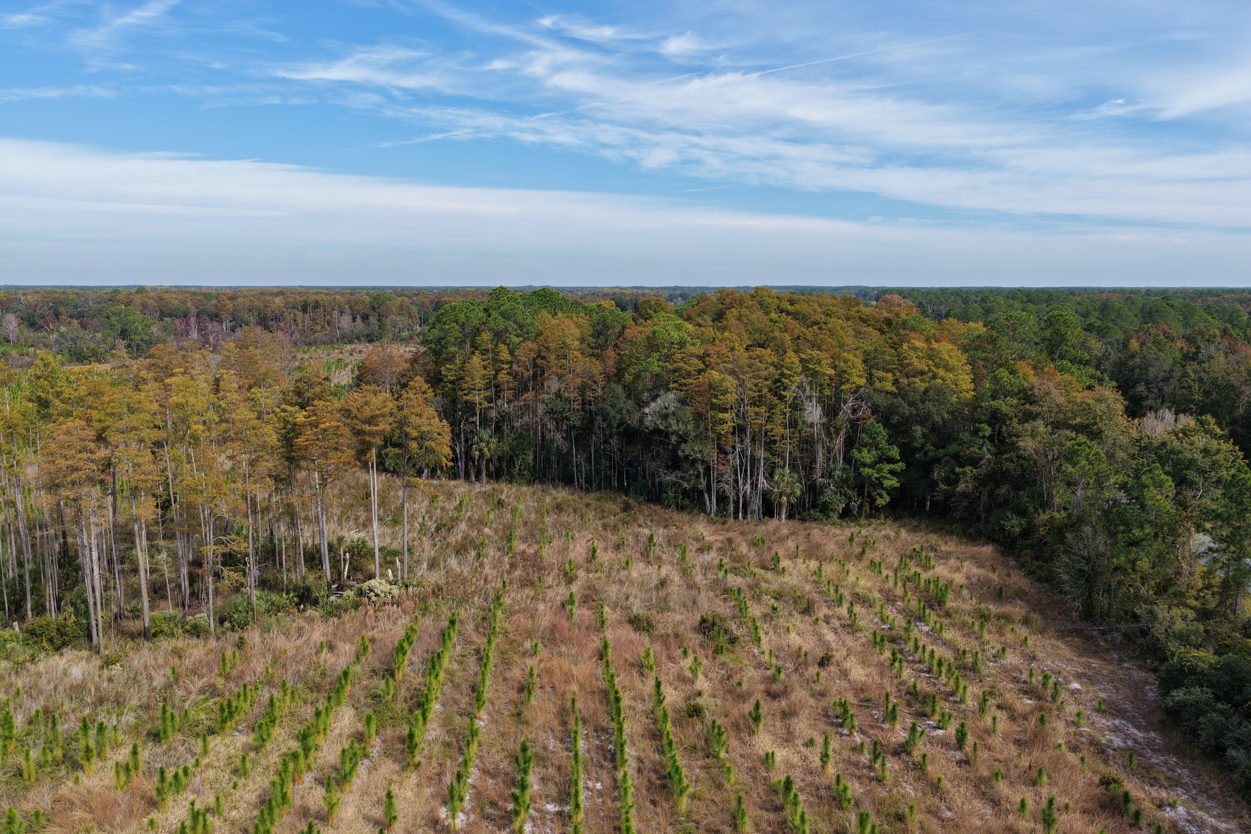 DJI_20251106111254_0286_D.JPG