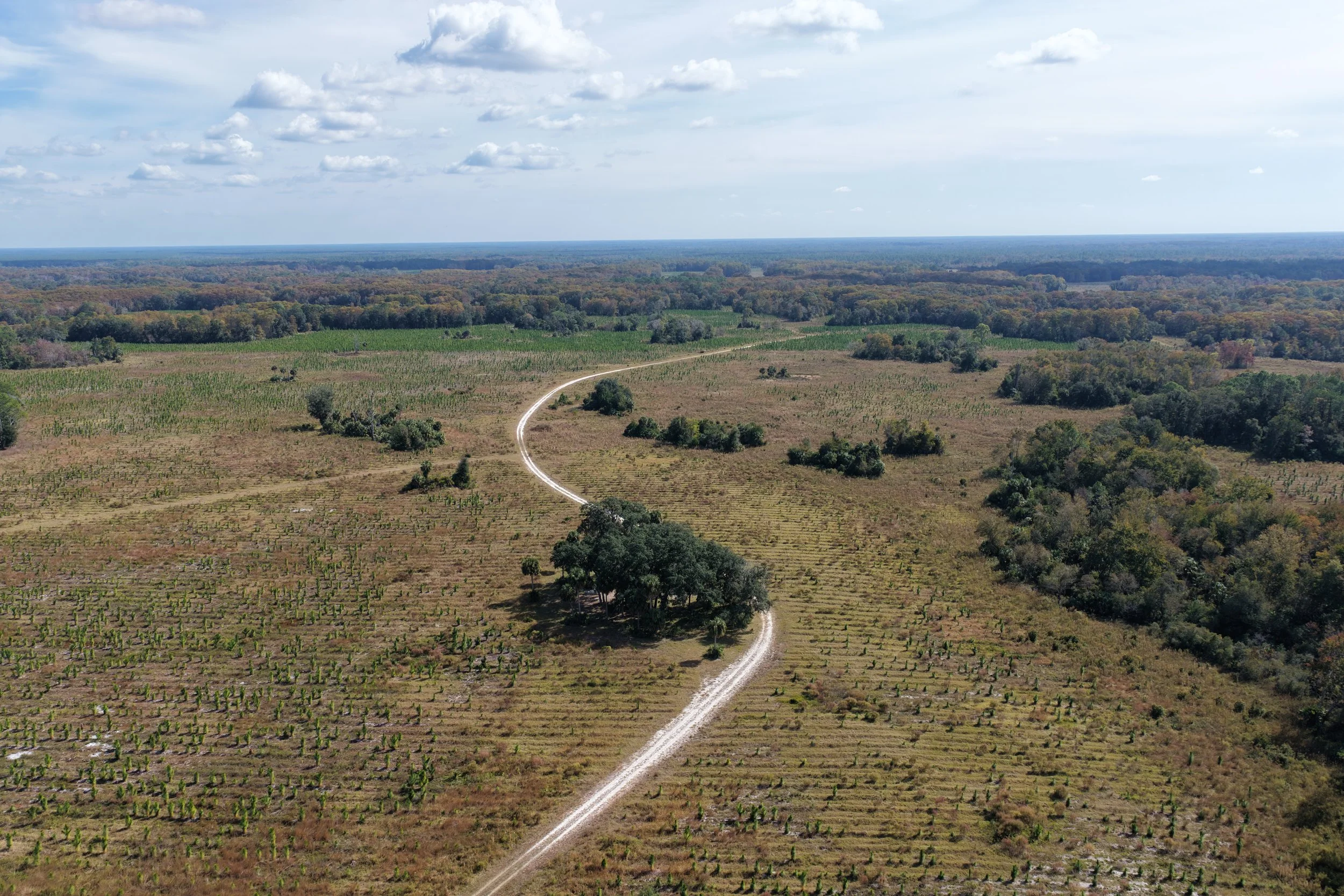 DJI_20251106115445_0353_D.JPG