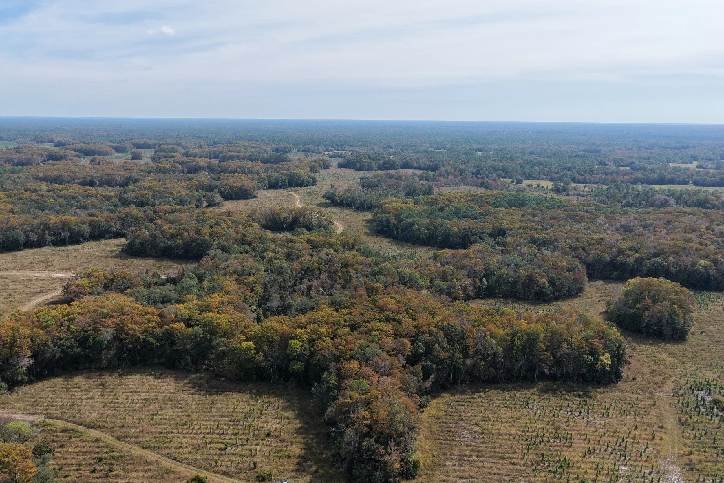 DJI_20251106113047_0322_D.JPG