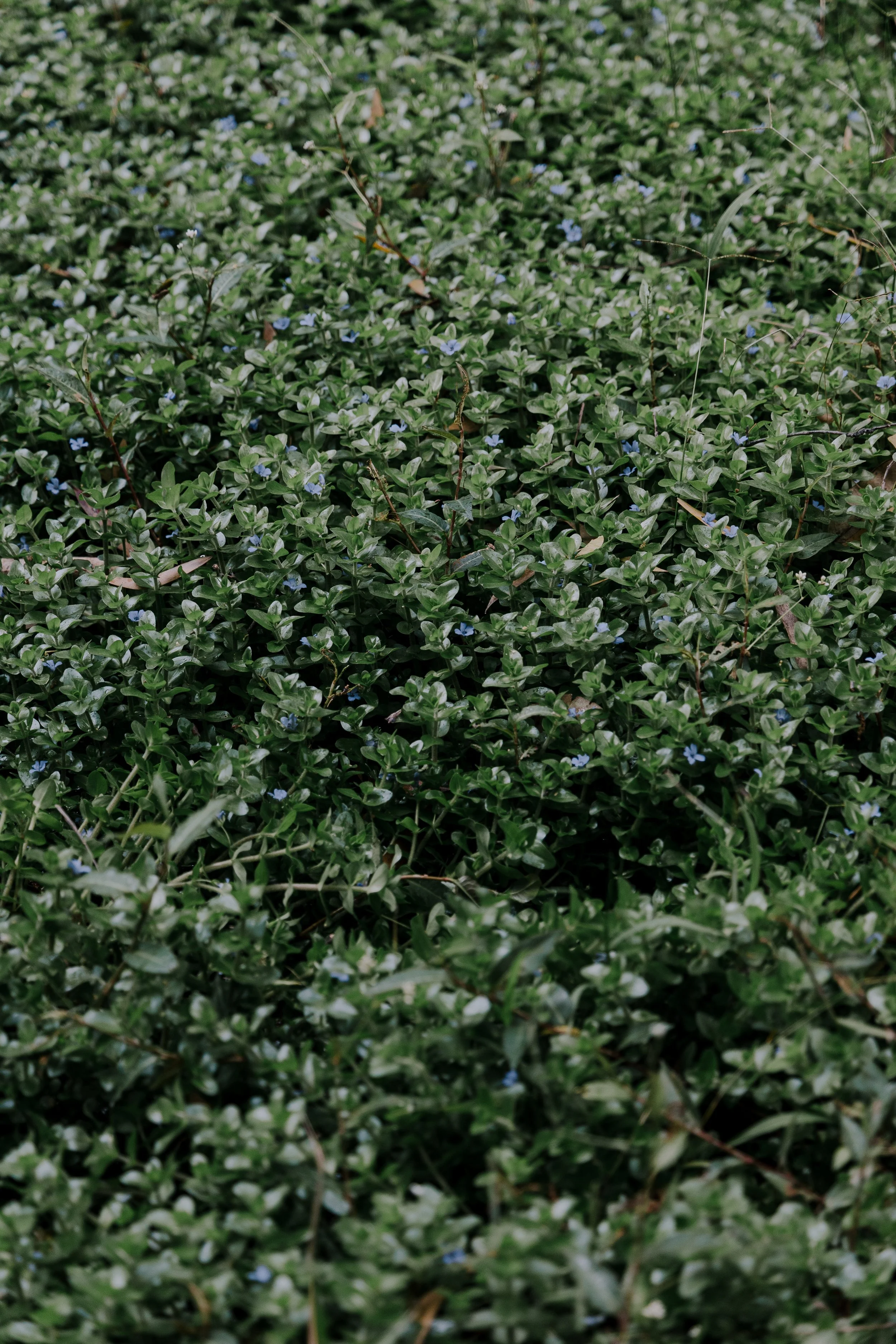 untitled-9908.jpg
