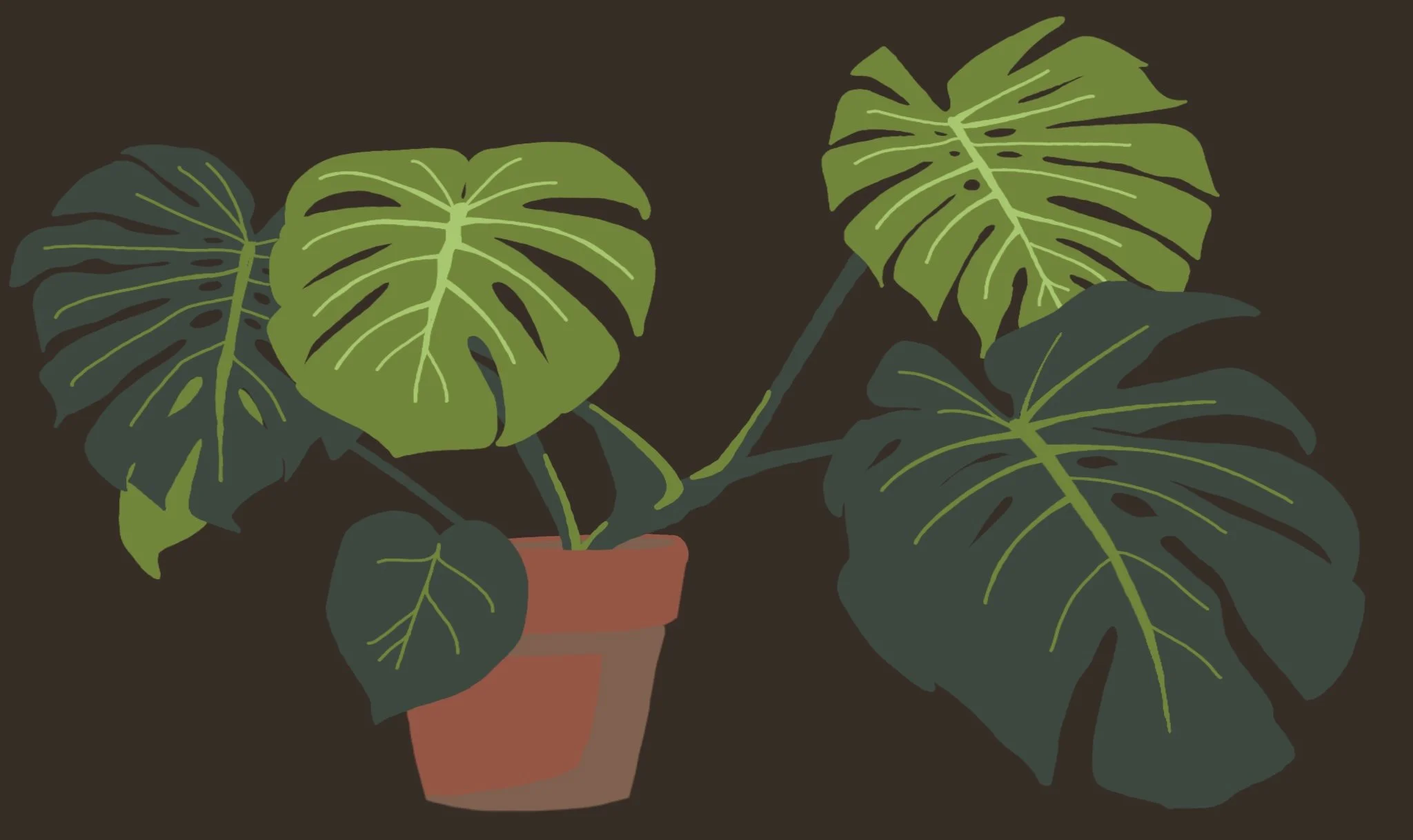 A drawing of a green monstera plant in a terracotta pot on a brown background.