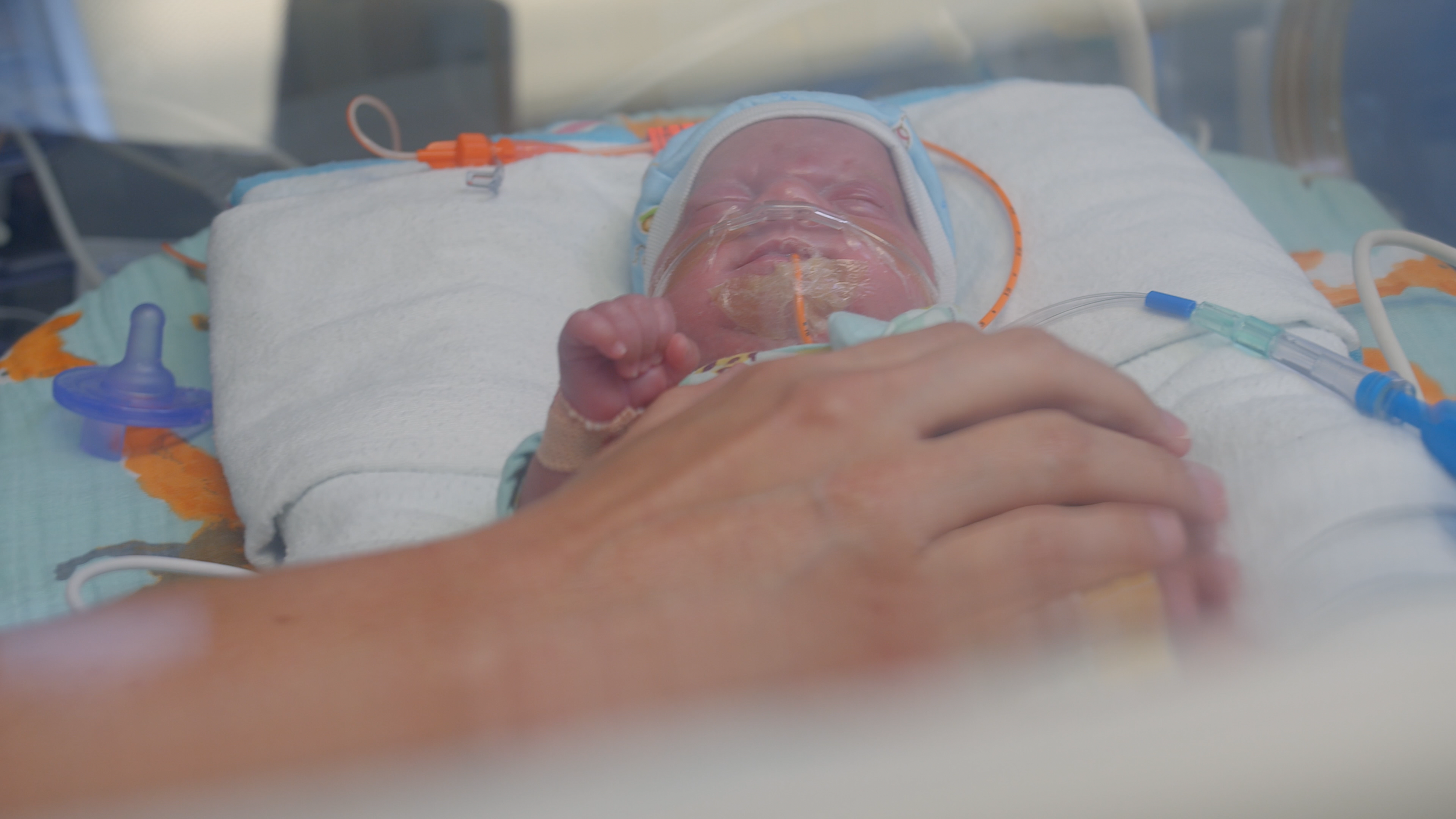 Screen Shot 2022-01-21 at 1.53.38 PM.png