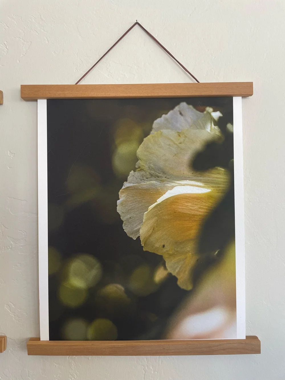 Shea Kluender Art