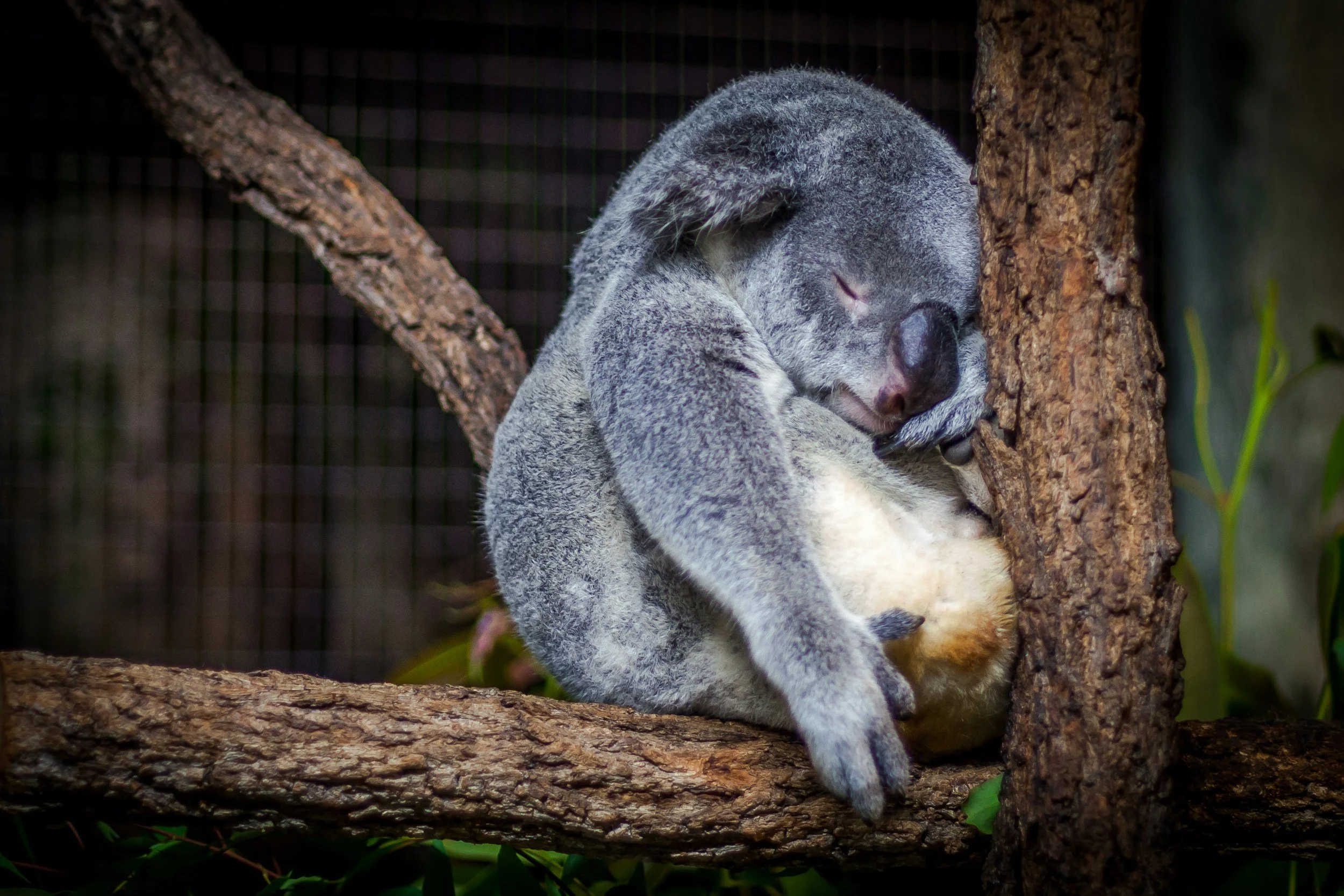 How Many Zzz’s Are Enough?