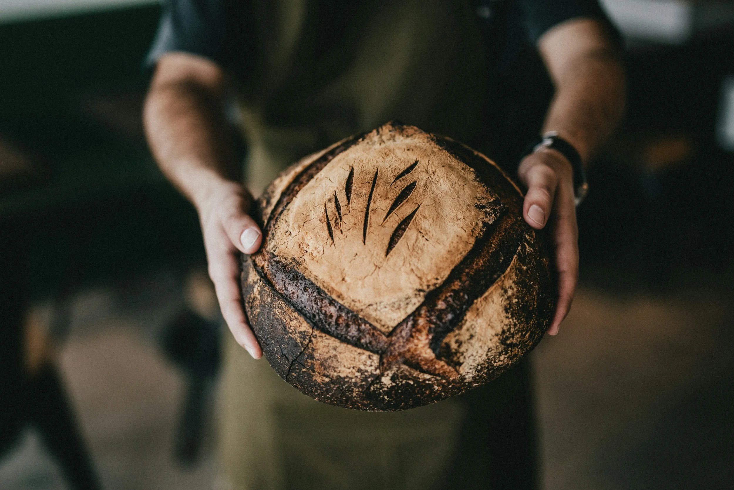 Are Carbs SPOOKING you?