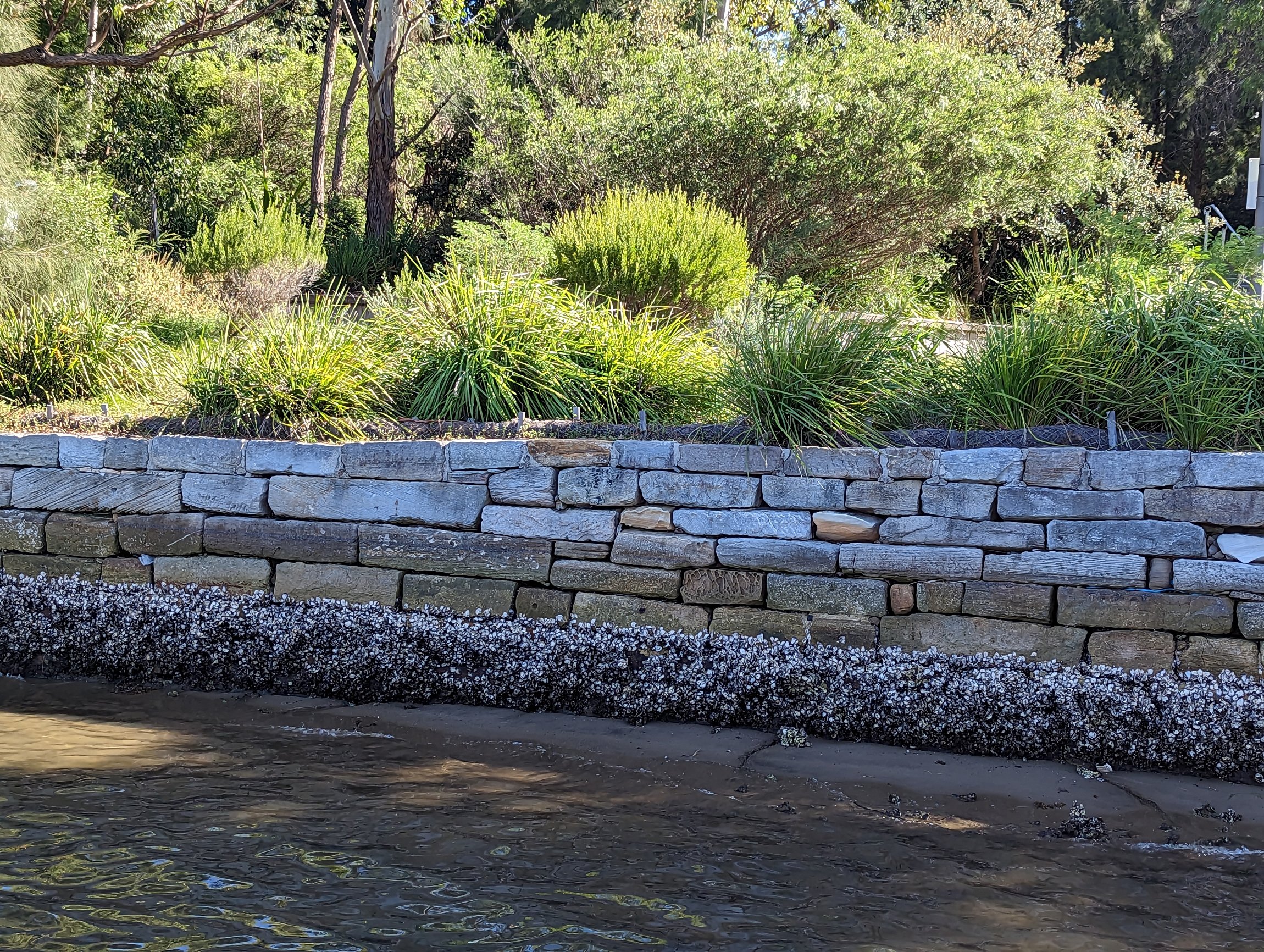 Glebe Seawall