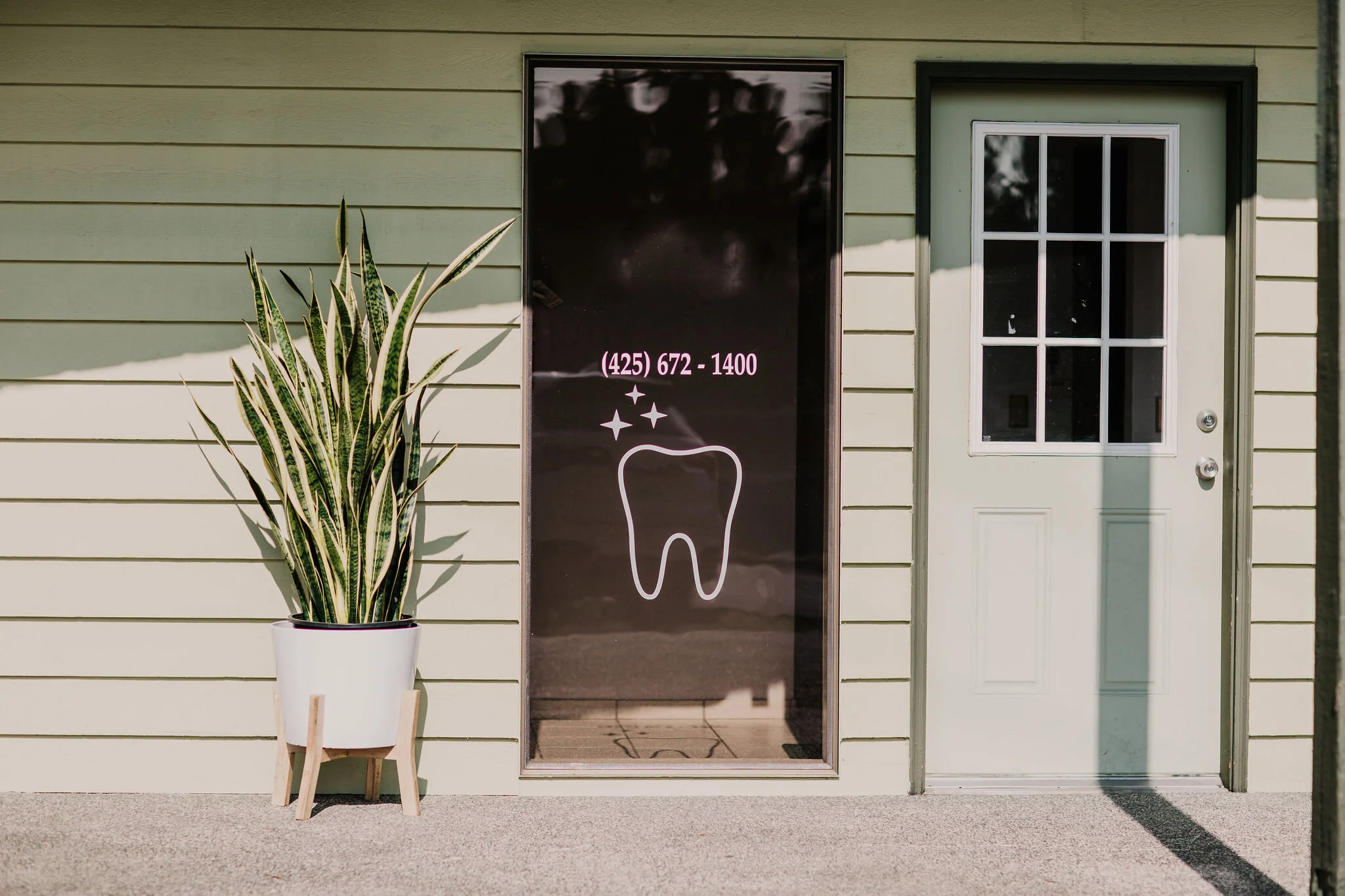 Exterior view of a building with beige siding, featuring a large window with phone number and tooth illustration, and a door with glass panes, next to a potted snake plant.