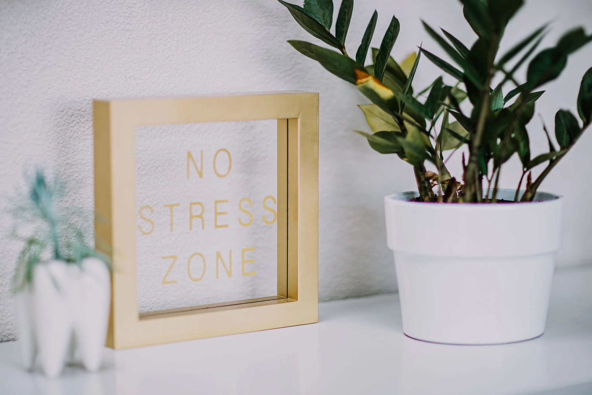 Decorative arrangement on a white surface featuring a small white tooth-shaped ornament with a plant, a framed sign with gold border and the text 'NO STRESS ZONE', and a potted green leafy plant in a white pot.
