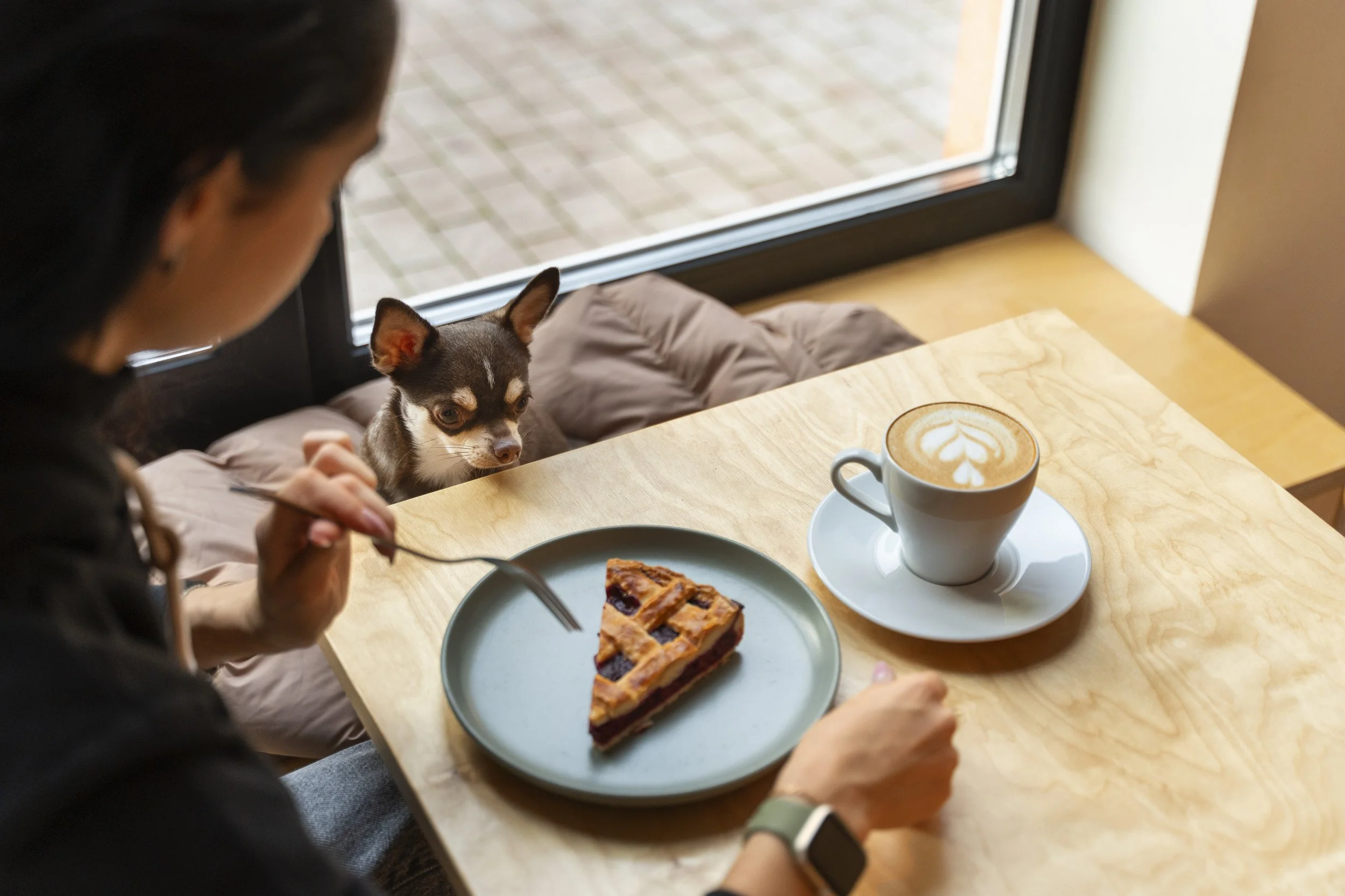 Pet friendly cafe in southern Sydney