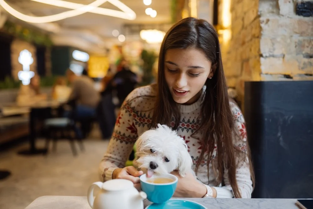 Best Dog Friendly Cafe in Grays Point.jpg