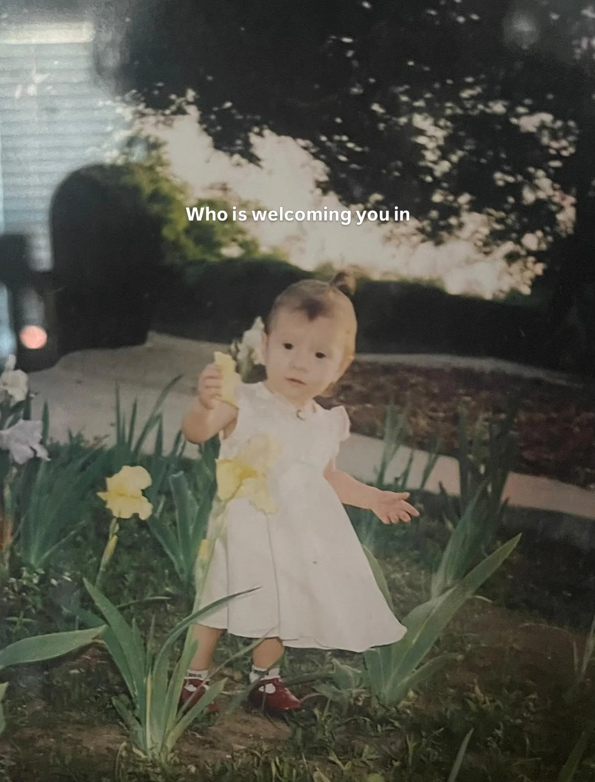 Meet the Jack Gray team! 

Aren&rsquo;t they lovely 🥺

For those not pictured, well, you just might have to come in and request their baby photos for yourselves! 

#JackGray #GraysPoint #SutherlandShire #SutherlandShireCafe #SutherlandShireWineBar