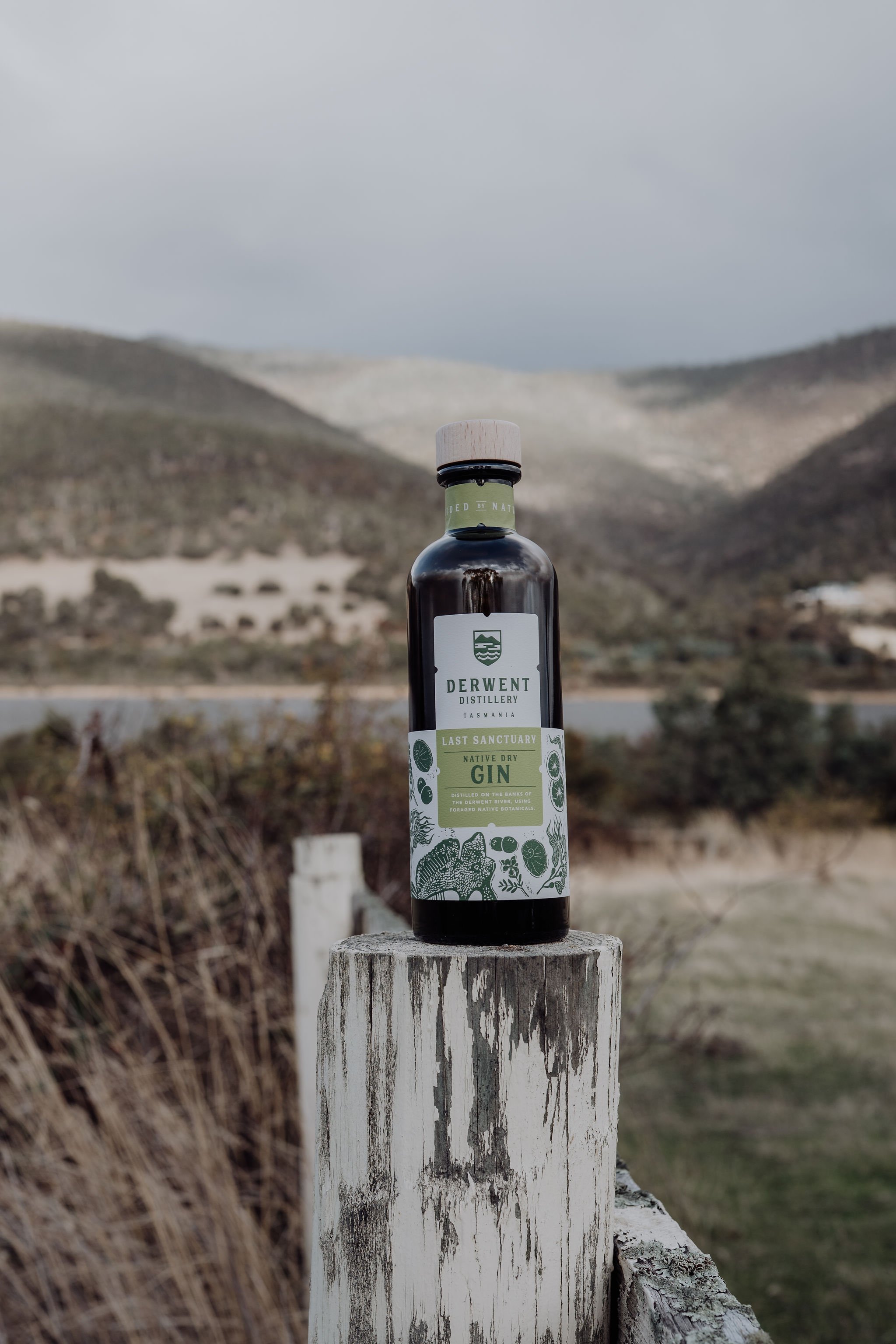 Last Sanctuary Organic Gin