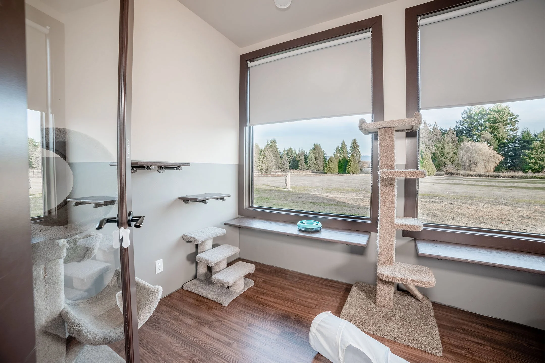 Premium Cat Boarding in Pitt Meadows, BC — Alley Cats Hotel
