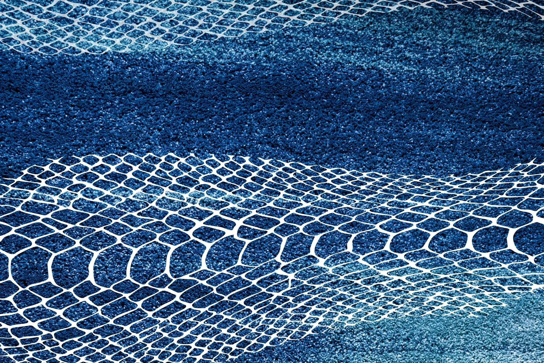 shedding, gathering, reflecting