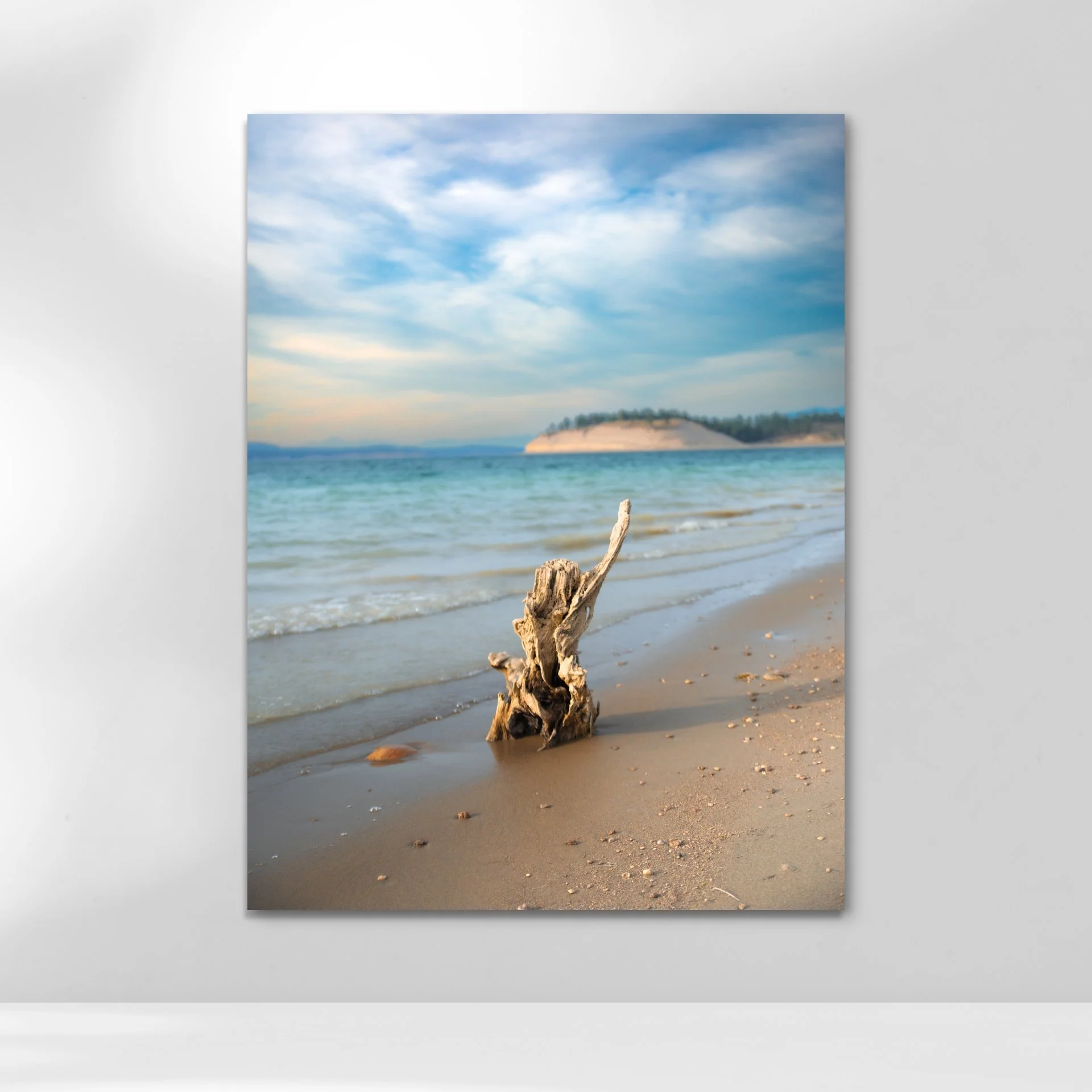 Driftwood stump on sandy beach with waves and distant hills under a cloudy sky.