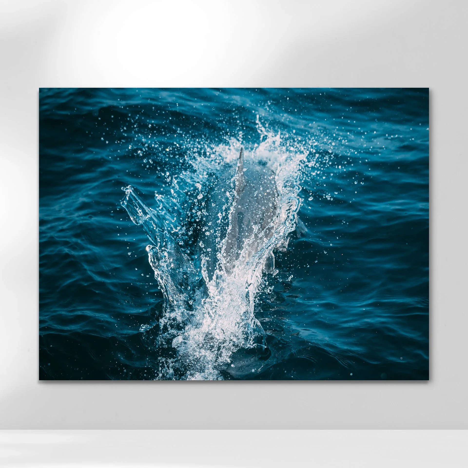 Dolphin splashing through deep blue water with droplets sparkling.