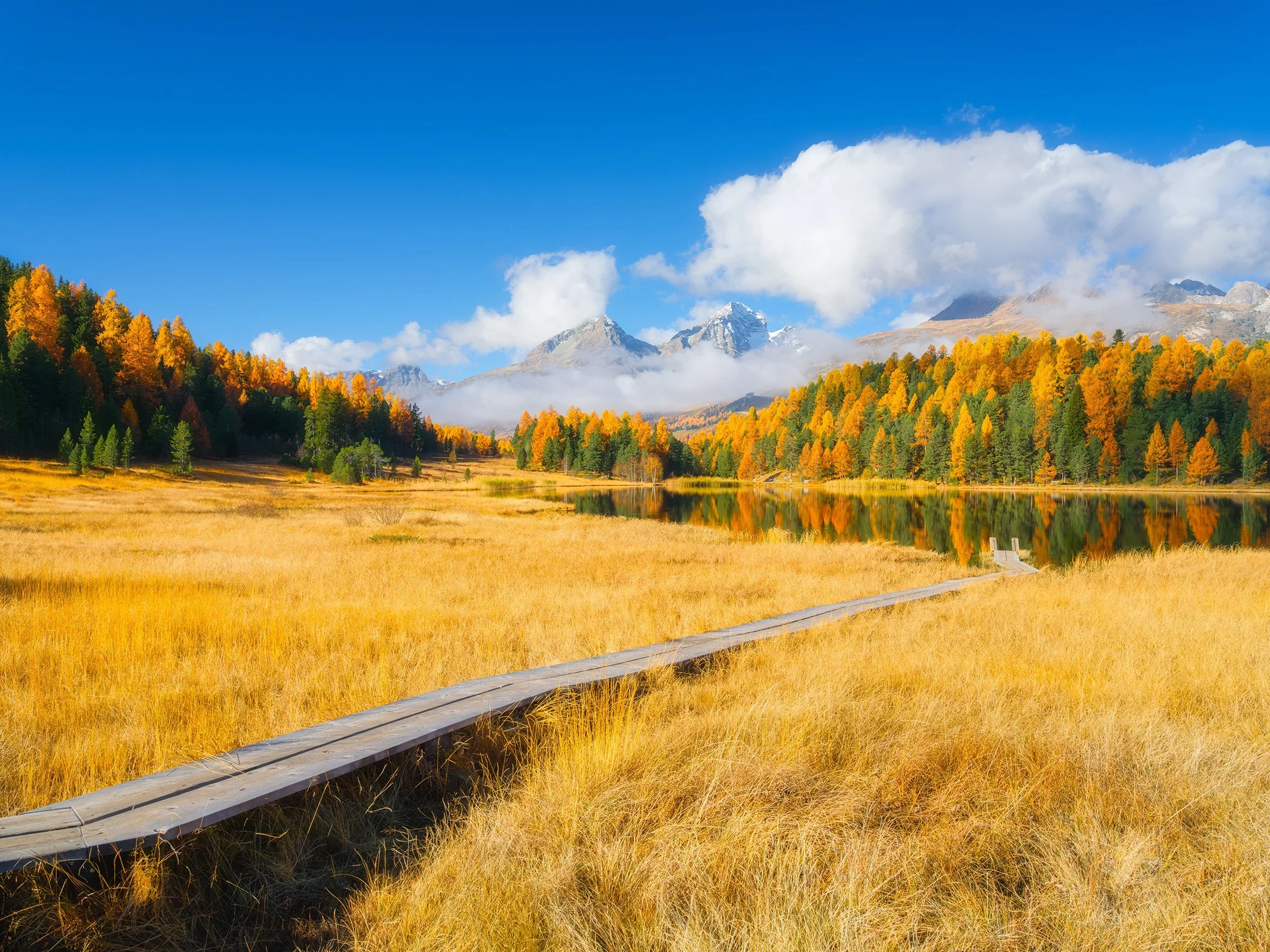shutterstock_2676080453.jpg
