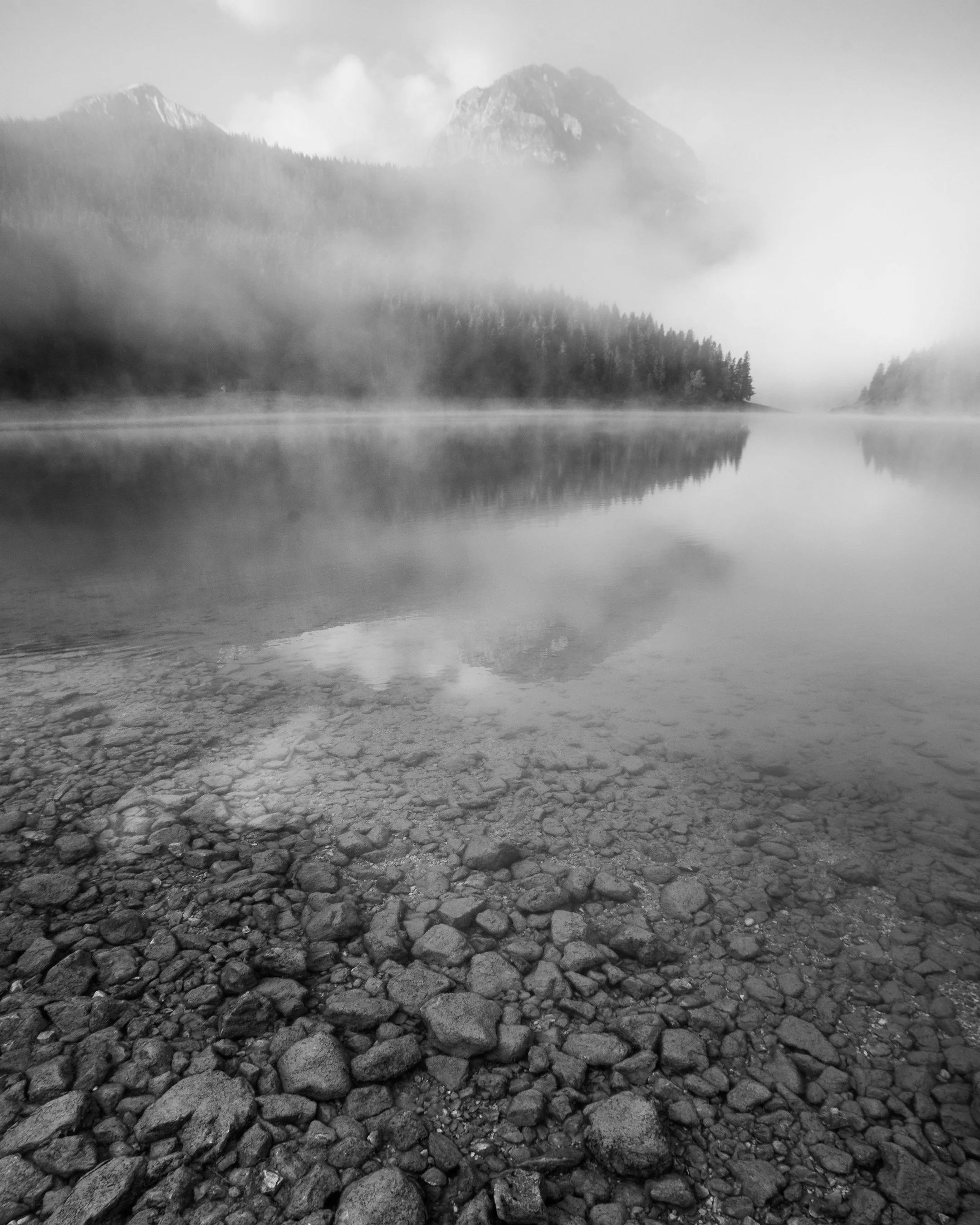 shutterstock_2578207343.jpg