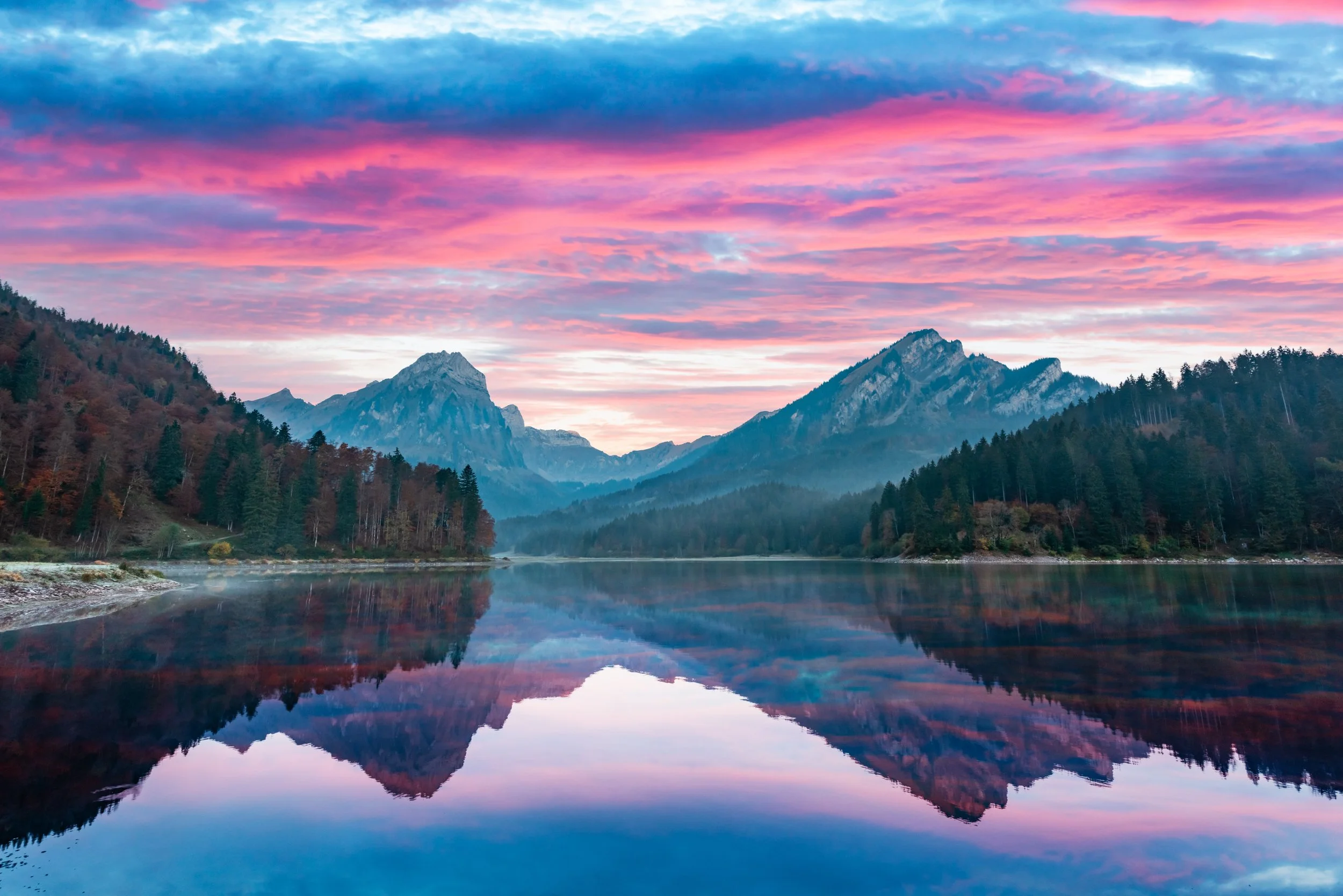 shutterstock_2033277437.jpg
