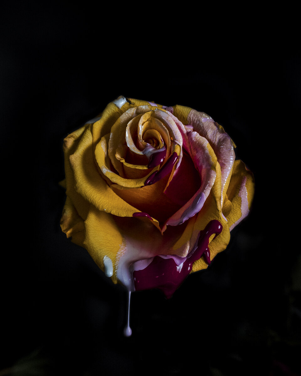 _CB_3738-2-Edit.jpg