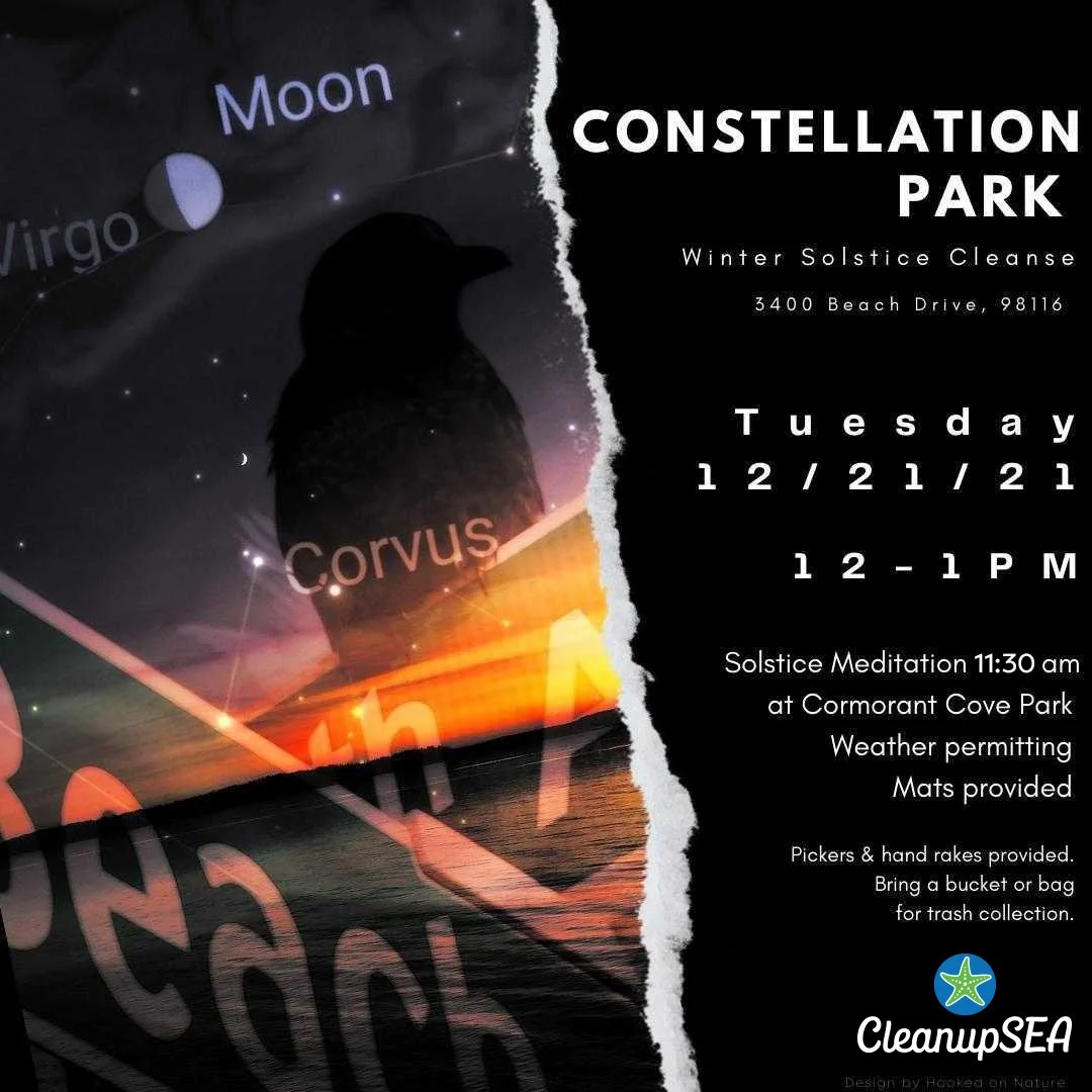 Winter Solstice Cleanse at Constellation Park