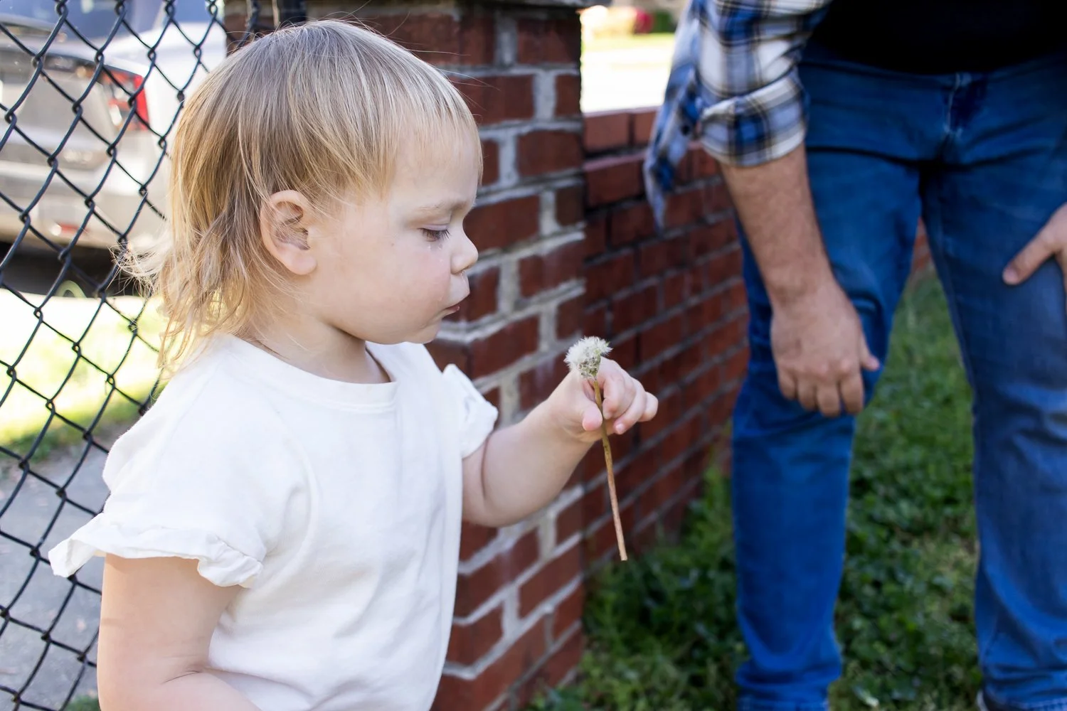 A toddler with a tear-stained face stands beside her dad and blows at a dandelion in their front yard.