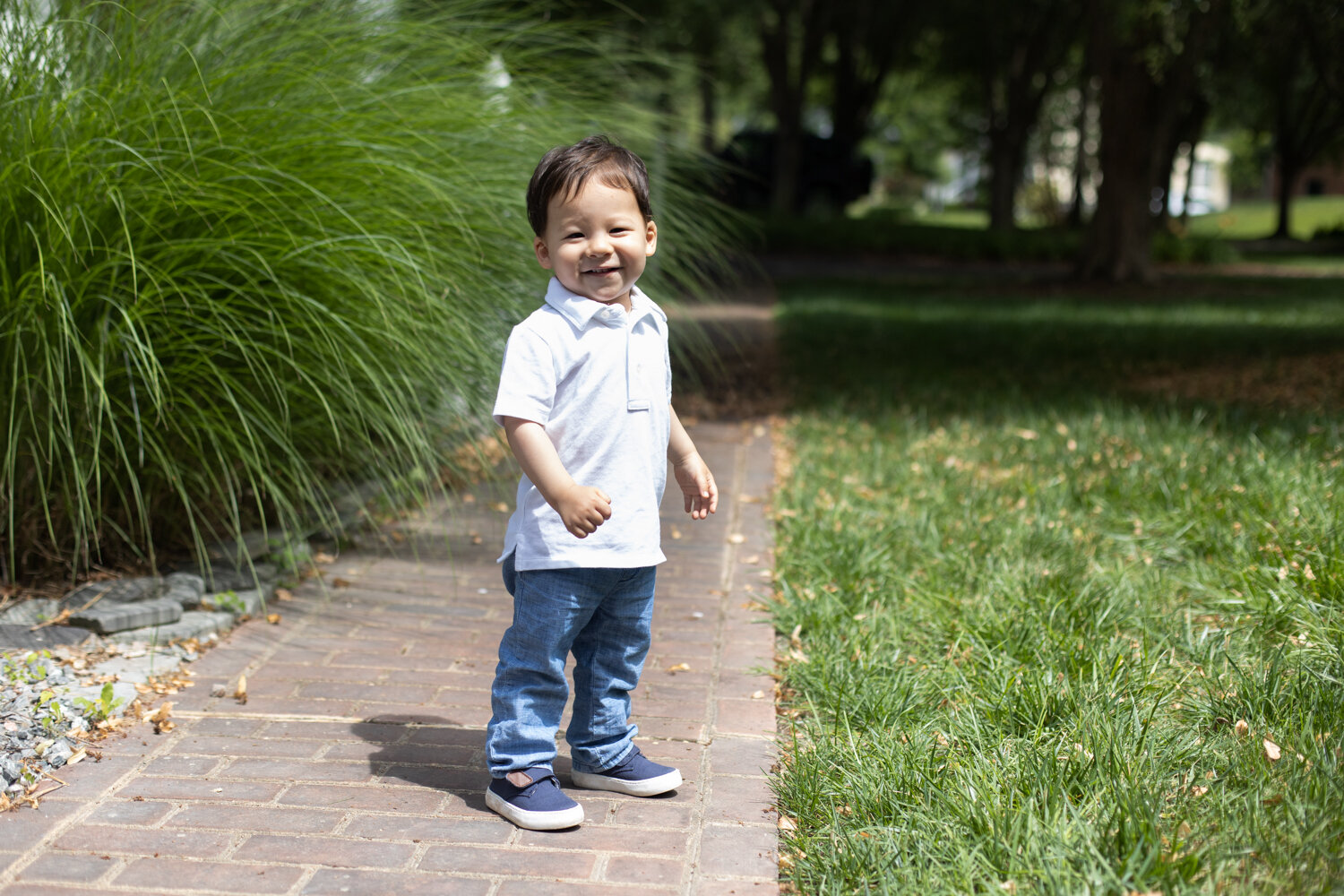 Toddler boy grinning in sunshine at home during family photo session