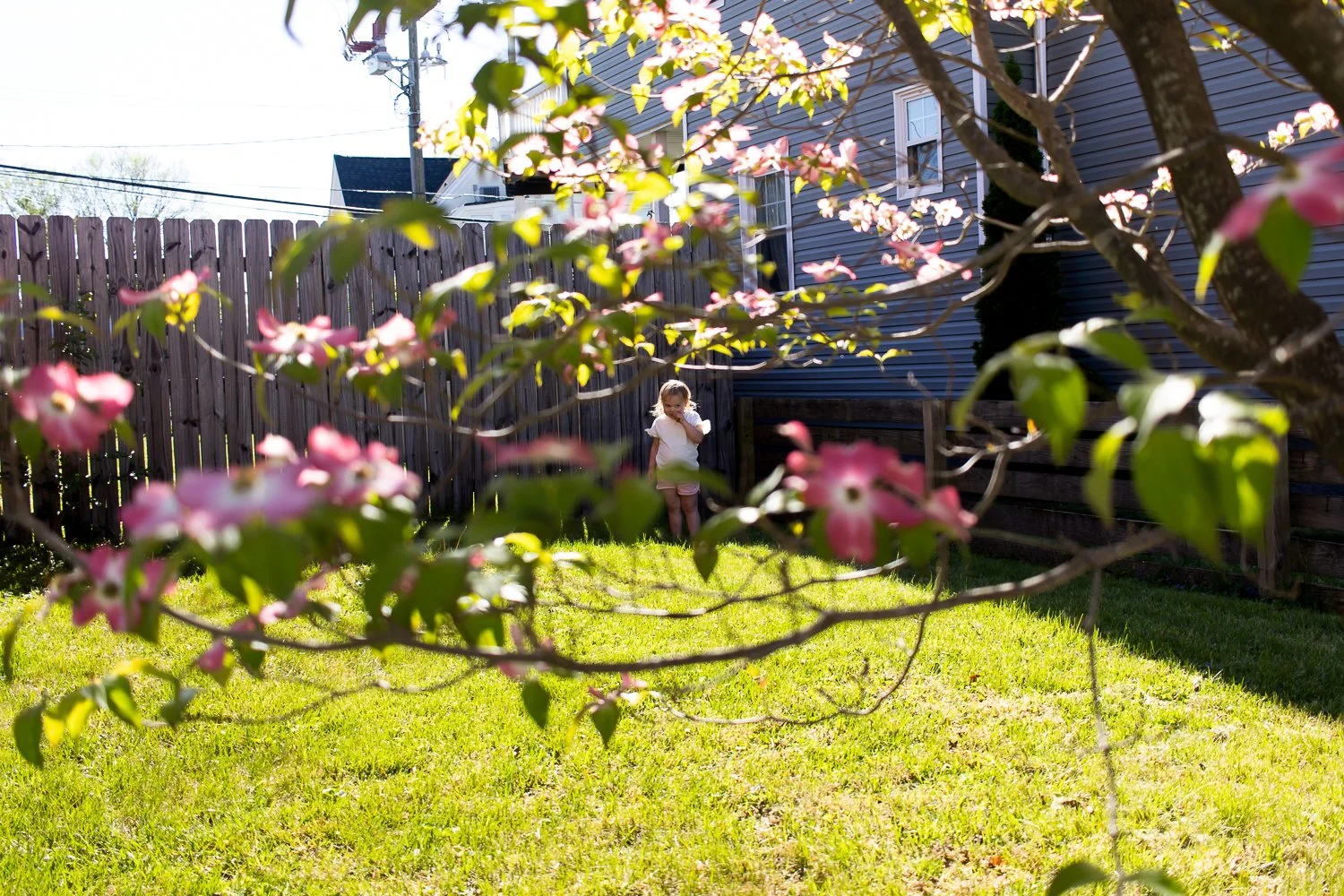 Cheeky toddler in the yard