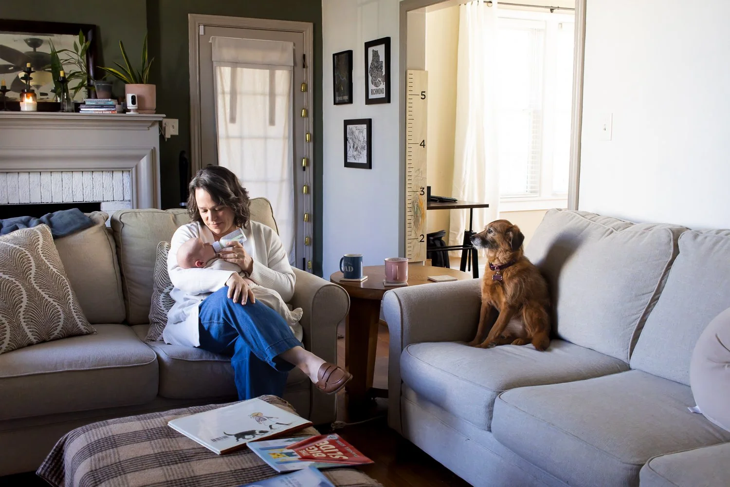Watchful pup at home