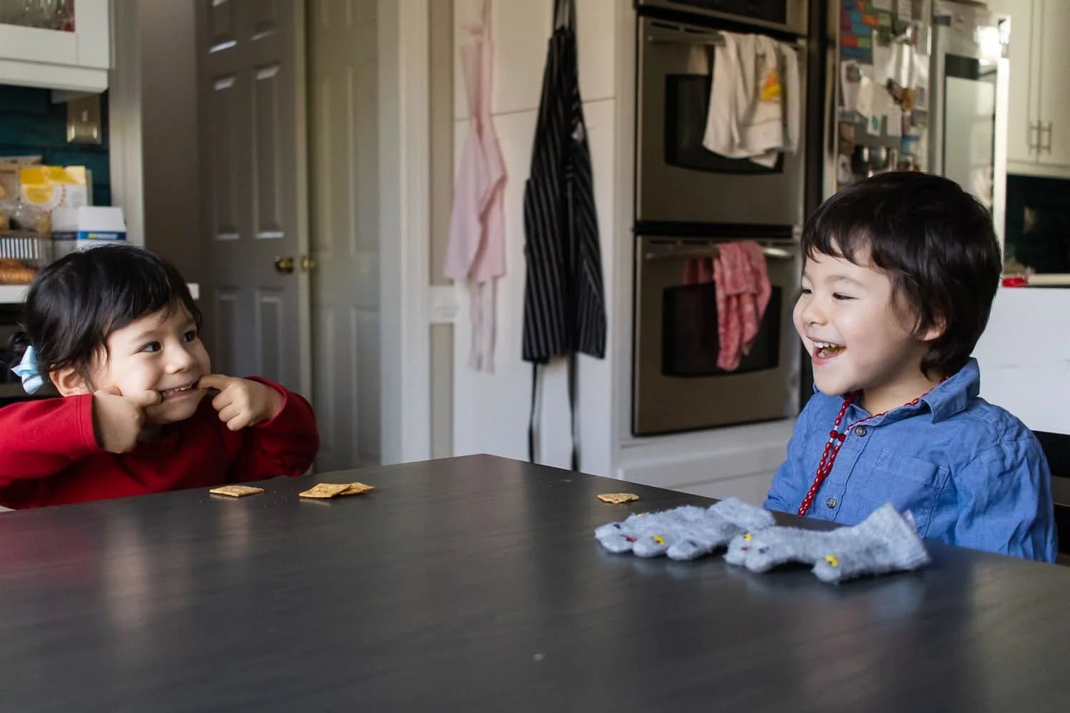 in-home-family-photographer-21.jpg