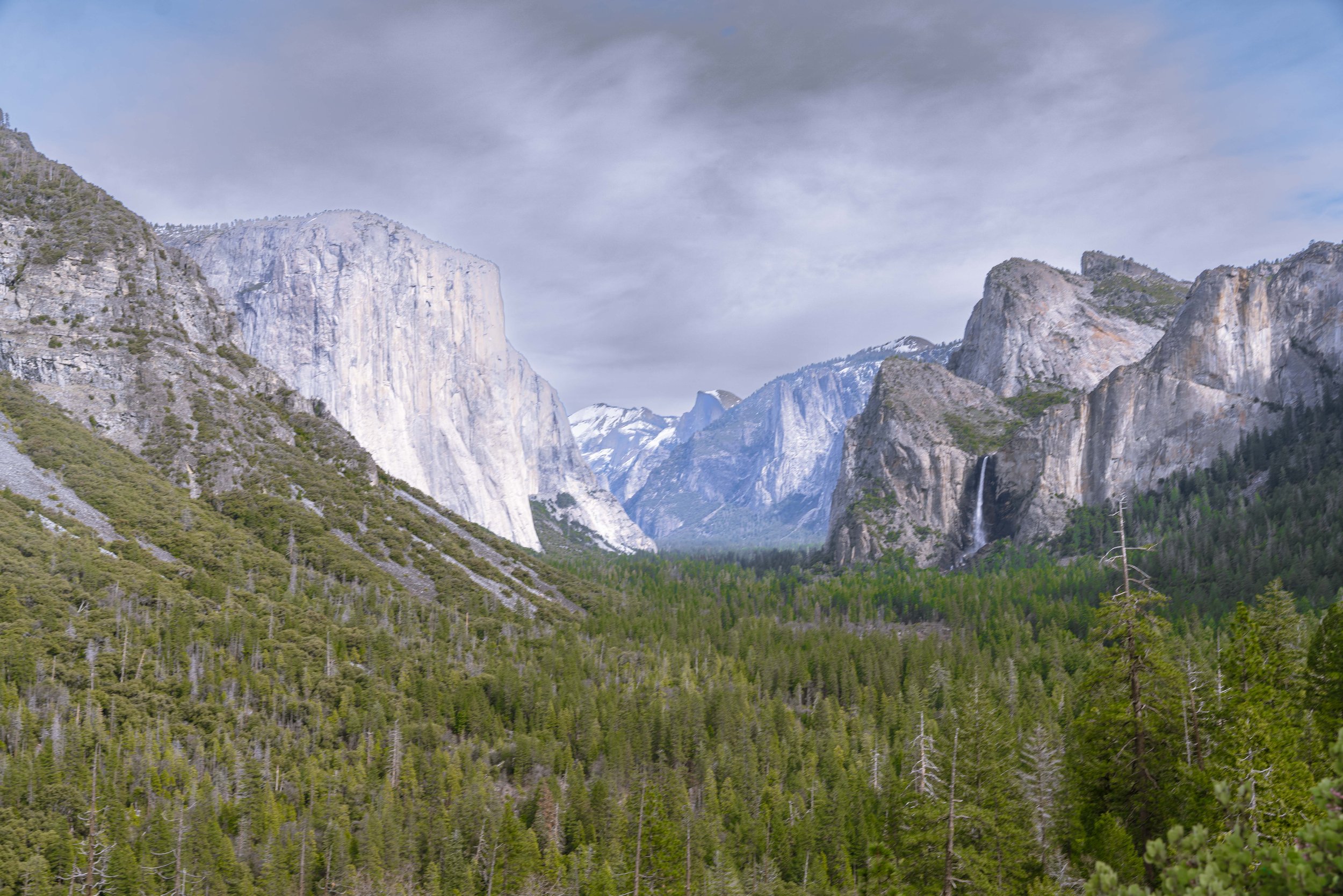 Yosemite-Feb-2026-92.jpg