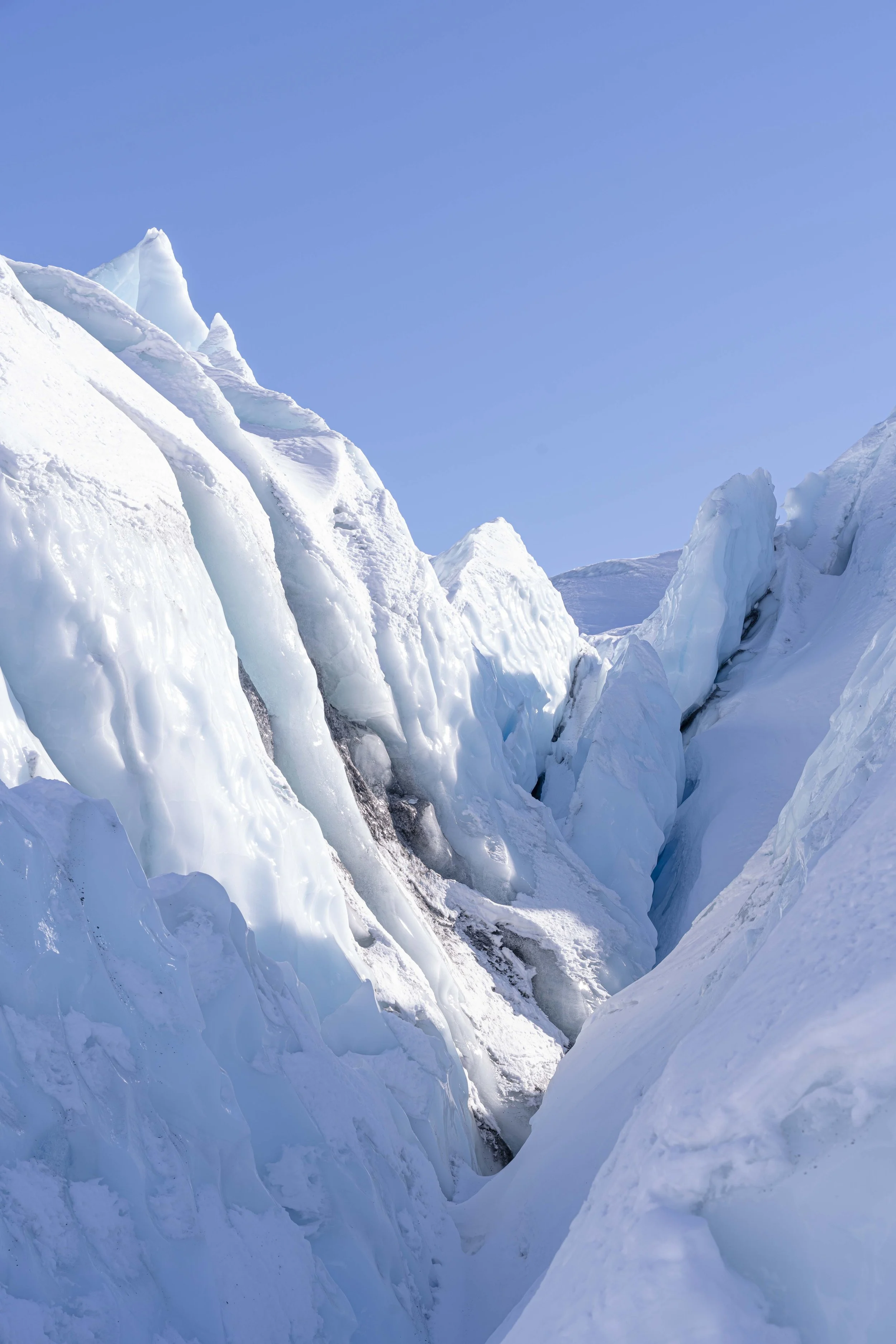 Alaska2026-430.jpg