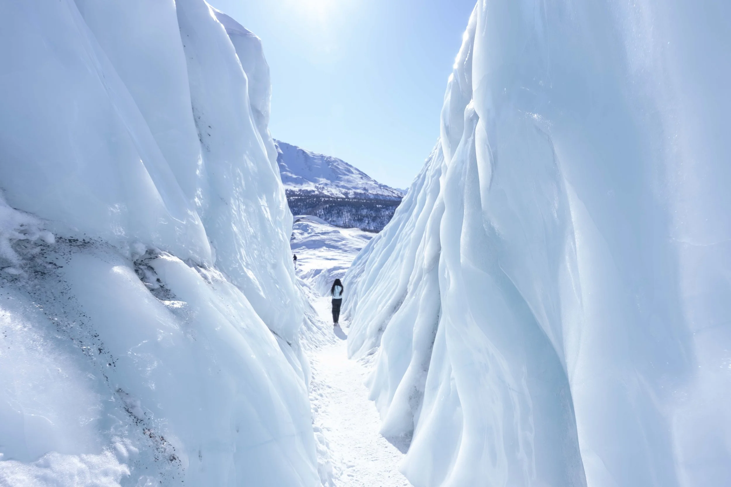 Alaska2026-351.jpg