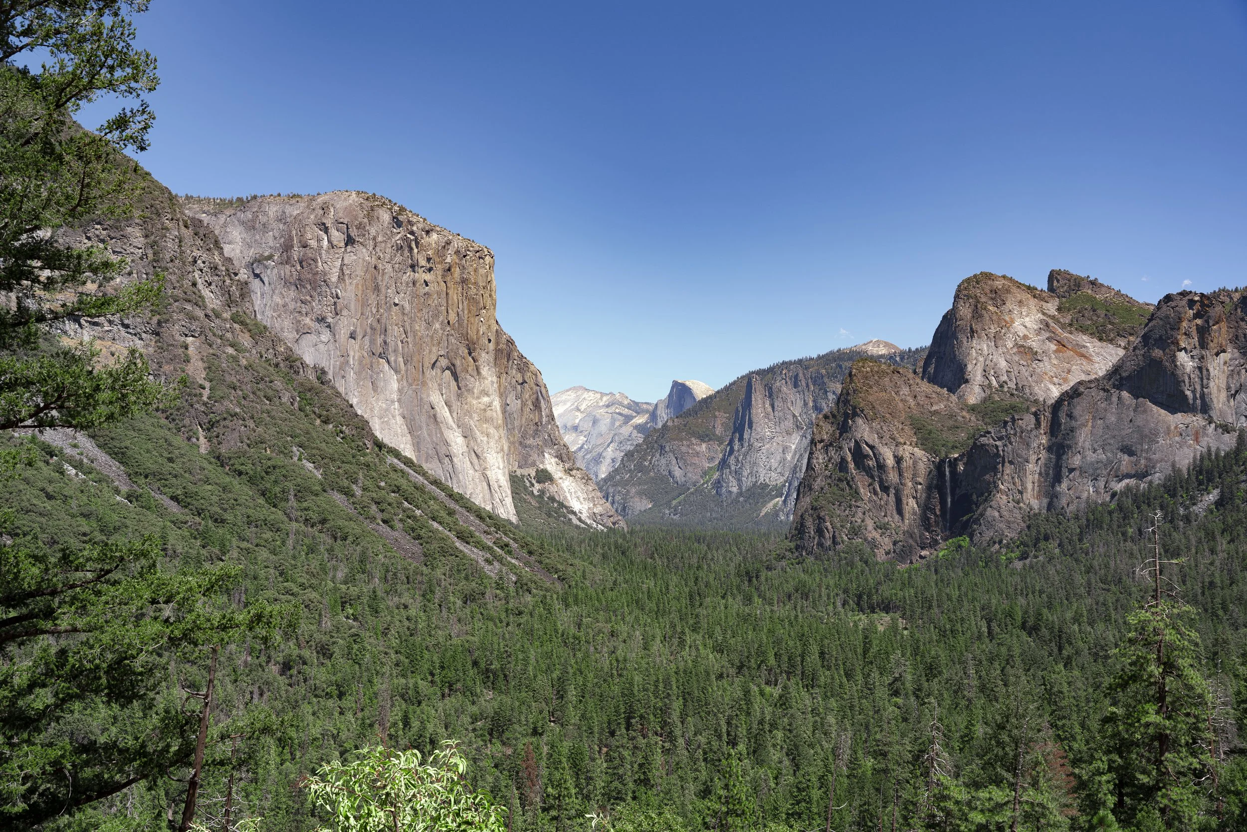 Yosemite(Aug1-3)-4.jpg