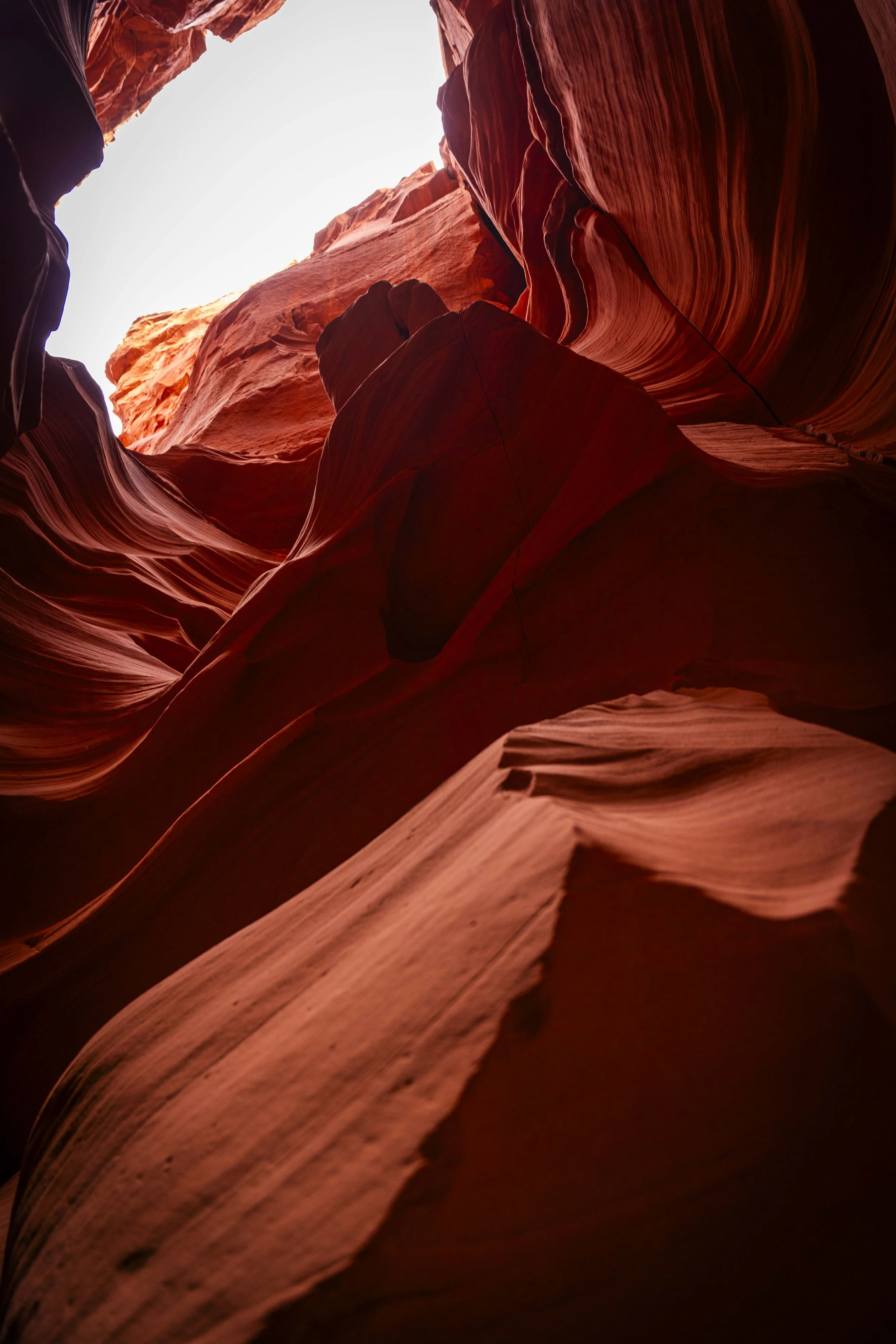 Arizona2025-89.jpg