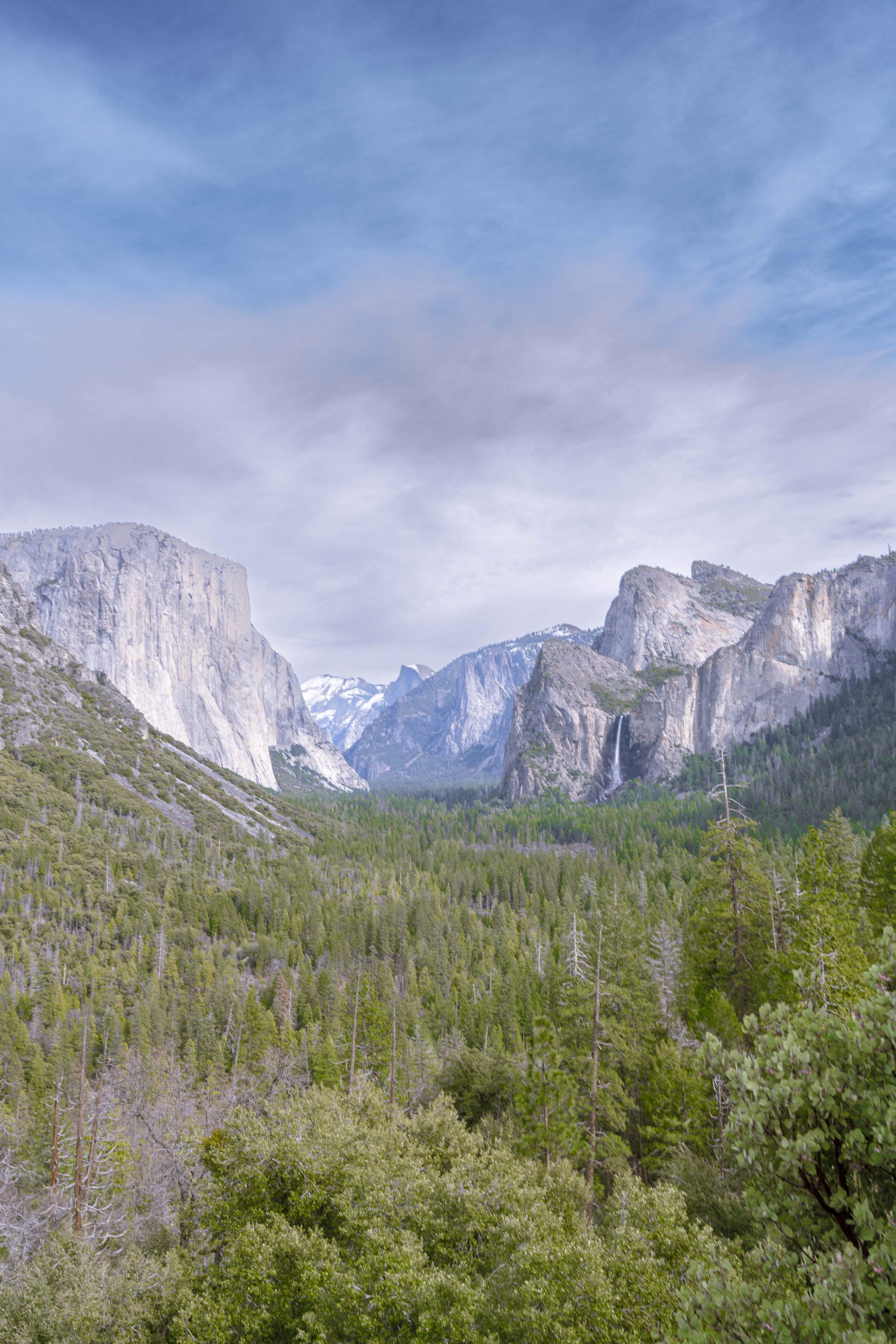 Yosemite-Feb-2026-93.jpg